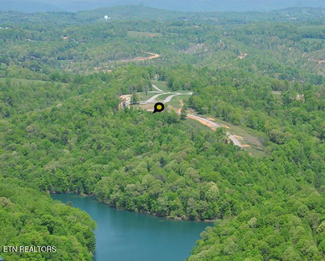 Norris Lake Real Estate - Image# 5