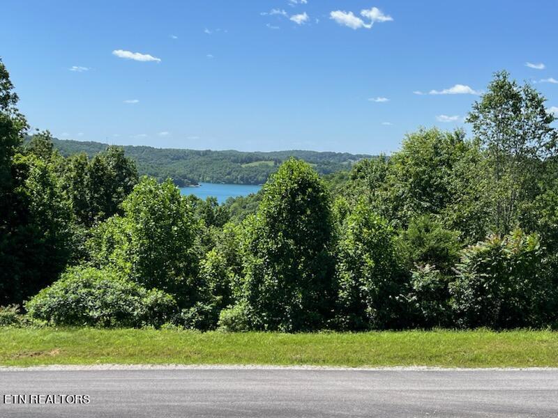 Norris Lake Real Estate - Image# 4