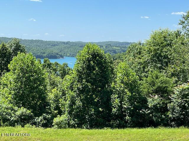 Norris Lake Real Estate - Image# 3