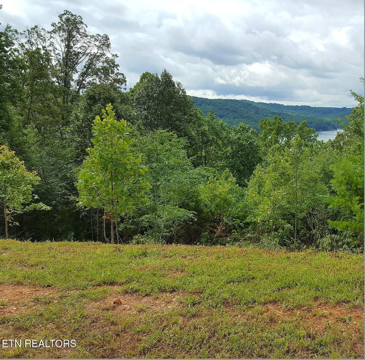 Norris Lake Real Estate - Image# 11