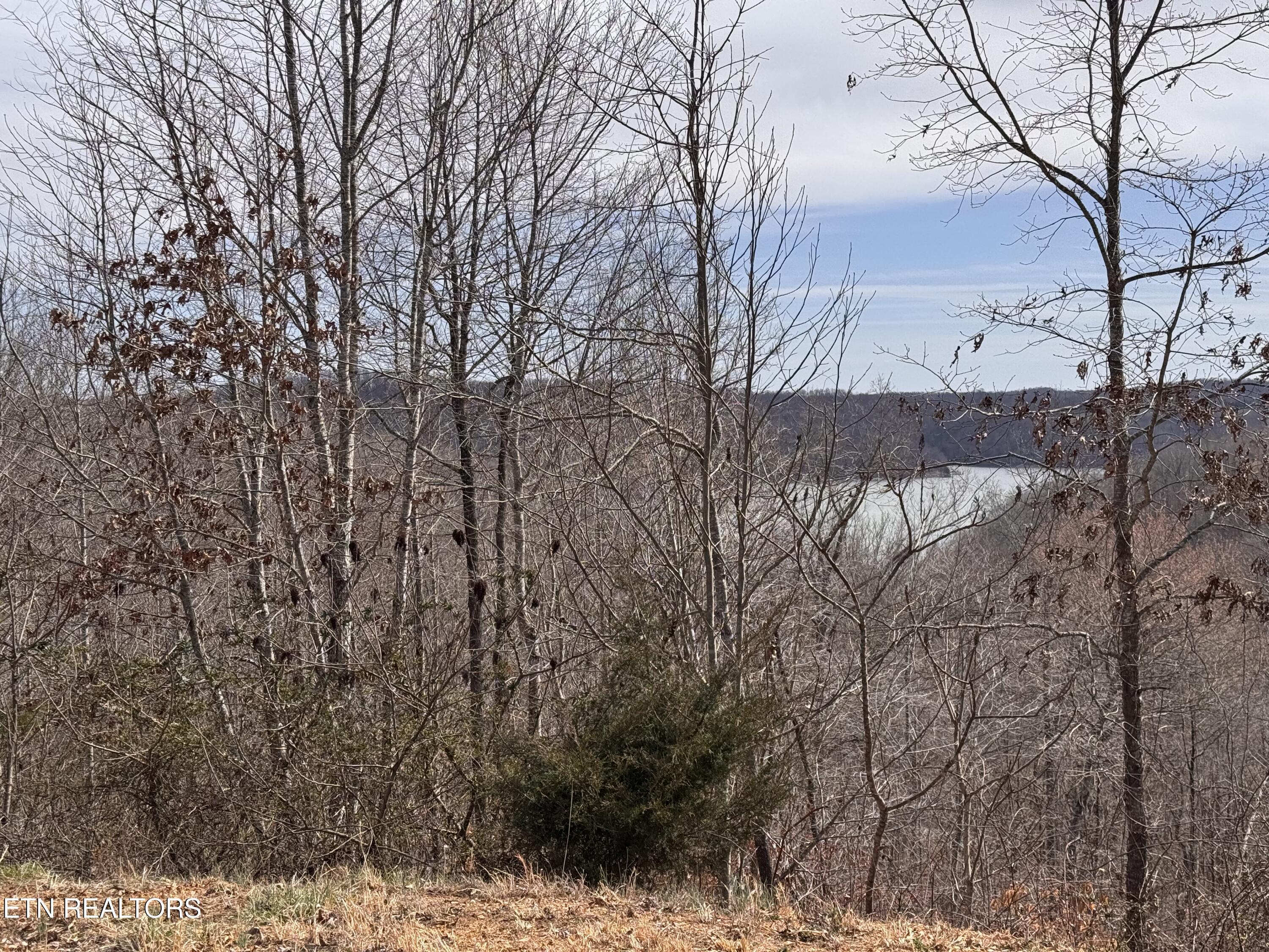 Norris Lake Real Estate - Image# 8