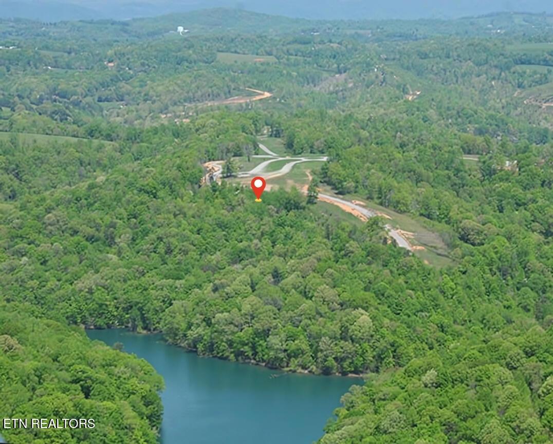 Norris Lake Real Estate - Image# 5