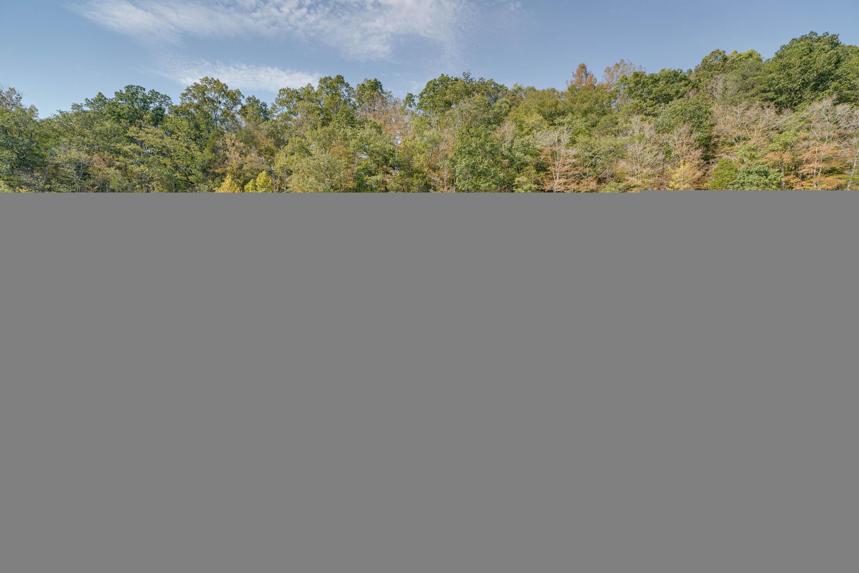 Norris Lake Real Estate - Image# 35