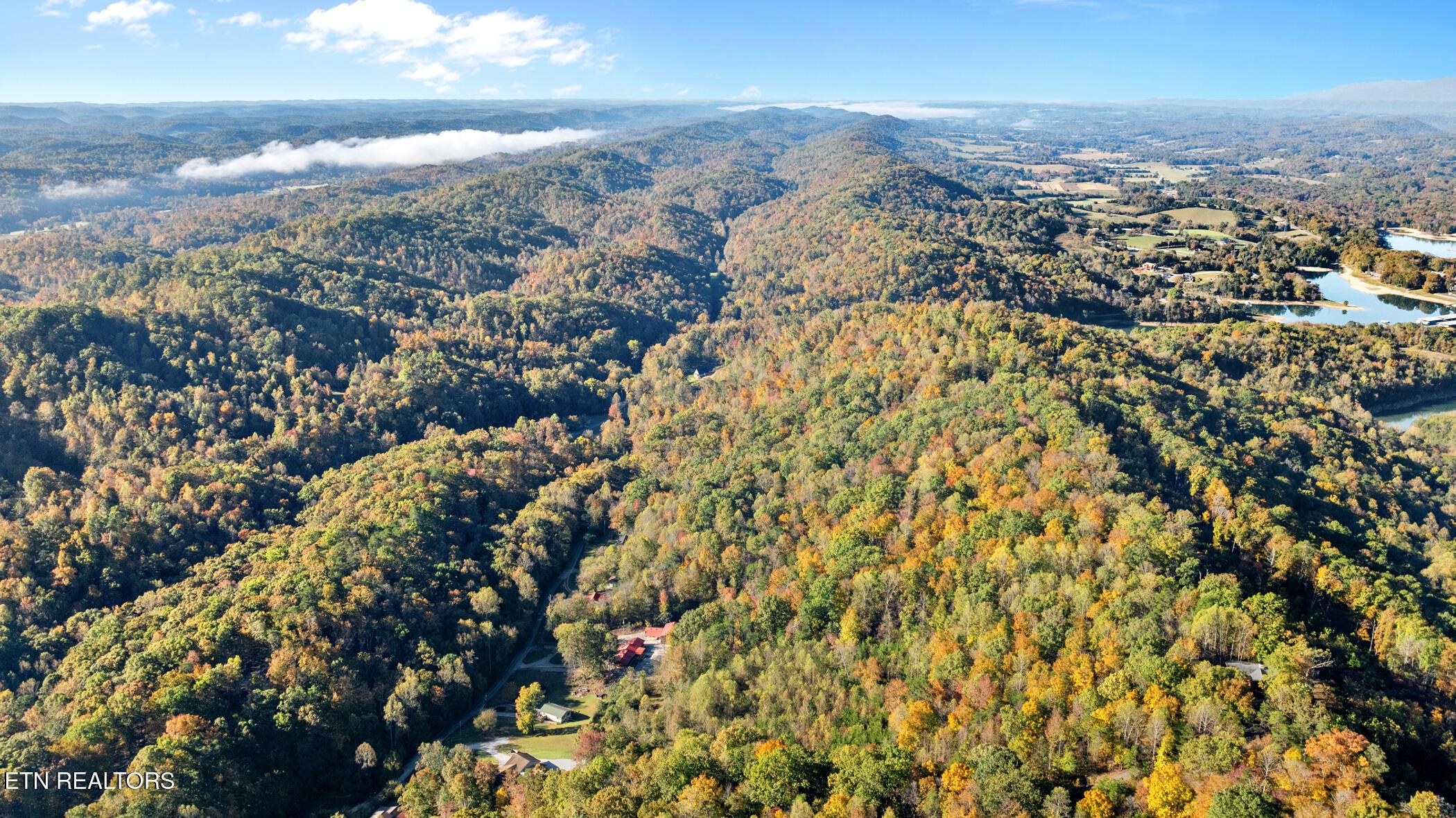 Norris Lake Real Estate - Image# 69