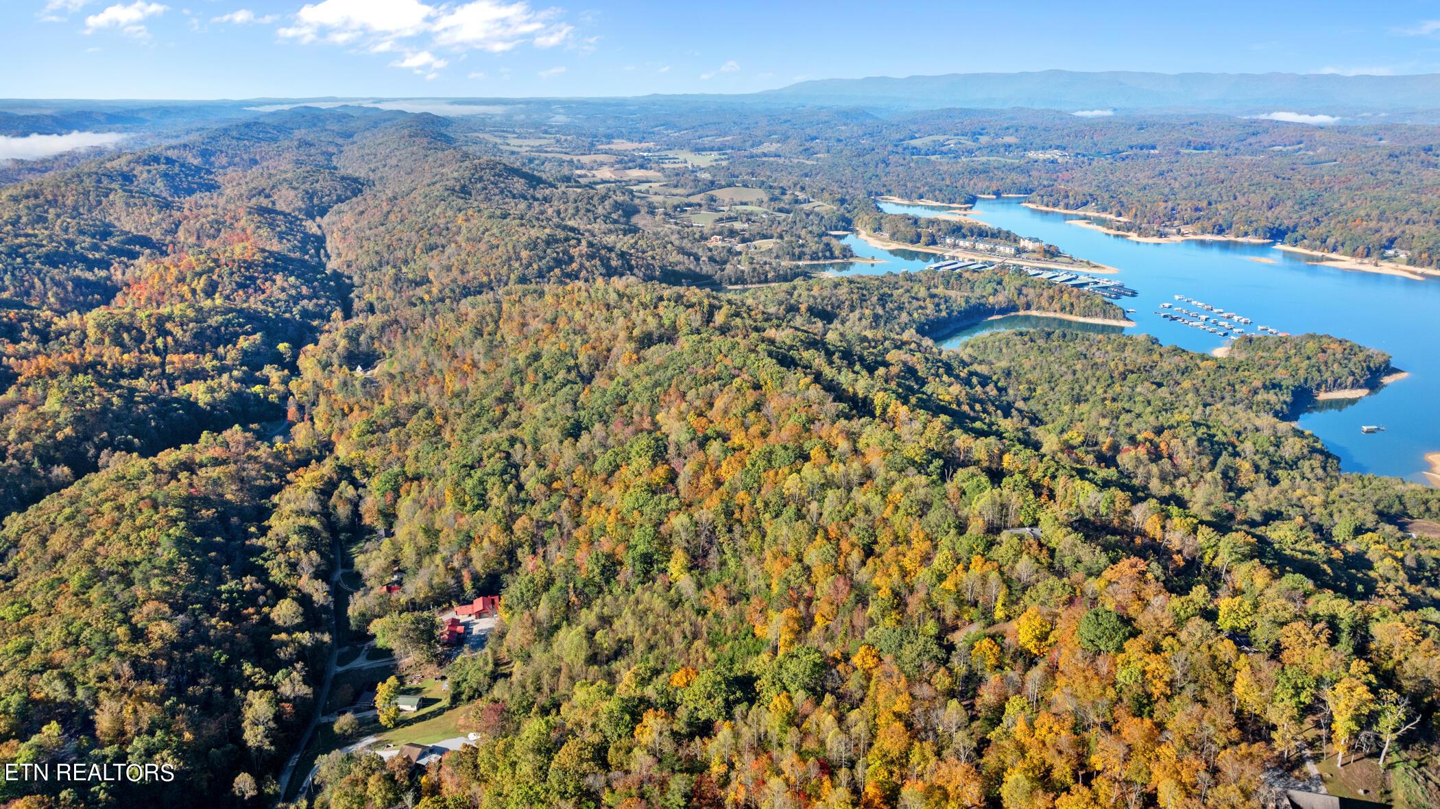 Norris Lake Real Estate - Image# 67