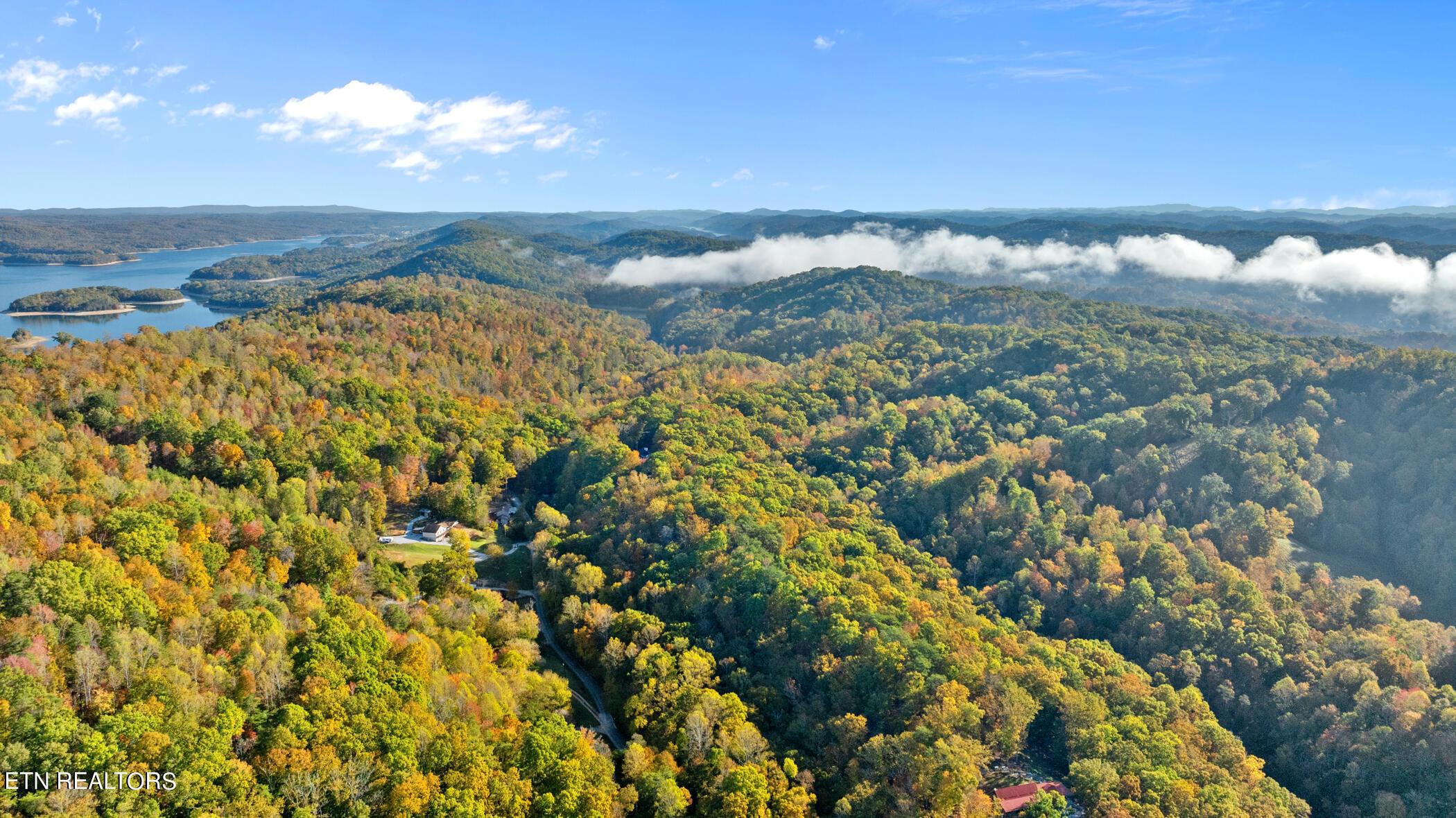 Norris Lake Real Estate - Image# 71