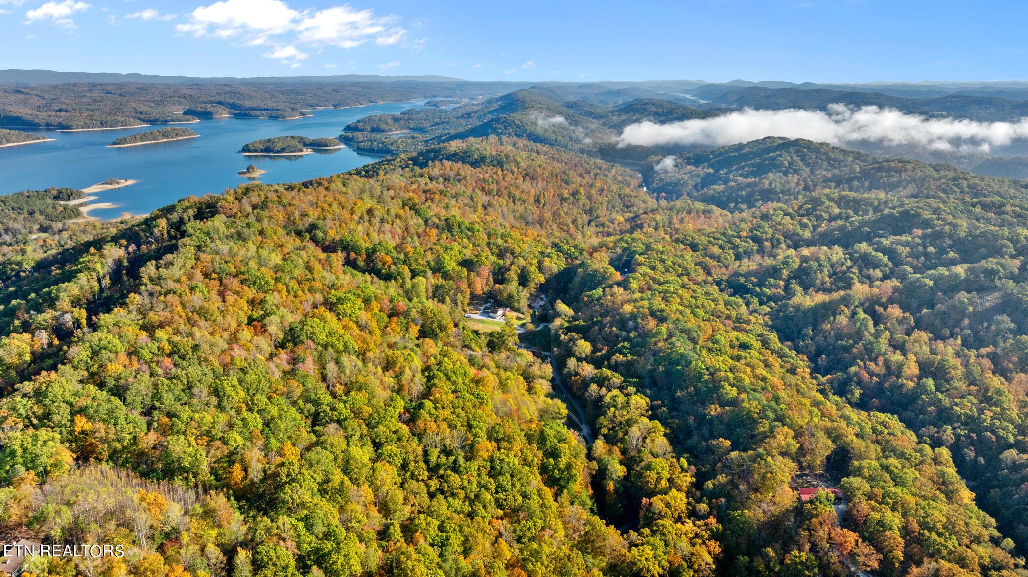 Norris Lake Real Estate - Image# 73