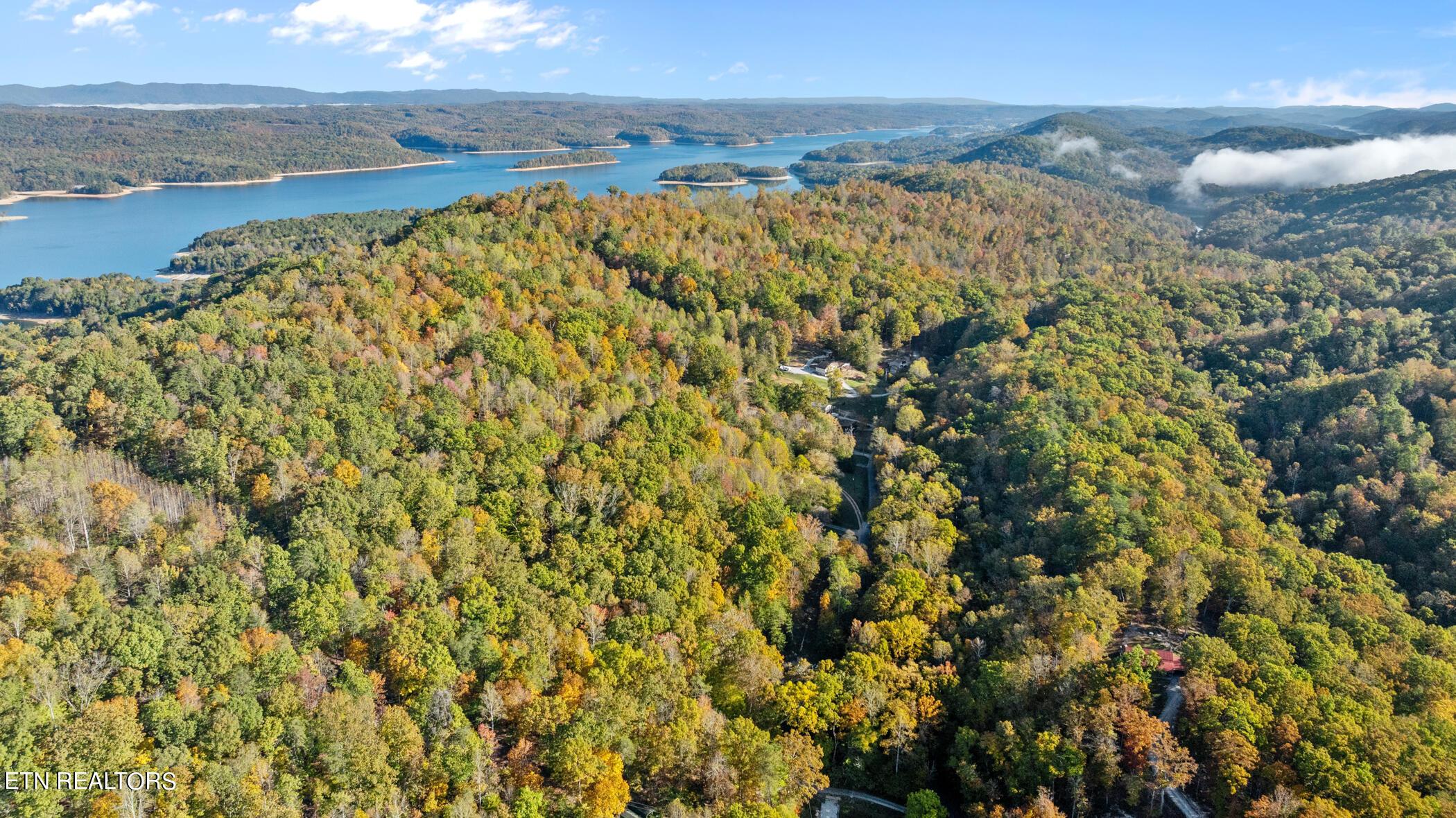 Norris Lake Real Estate - Image# 75