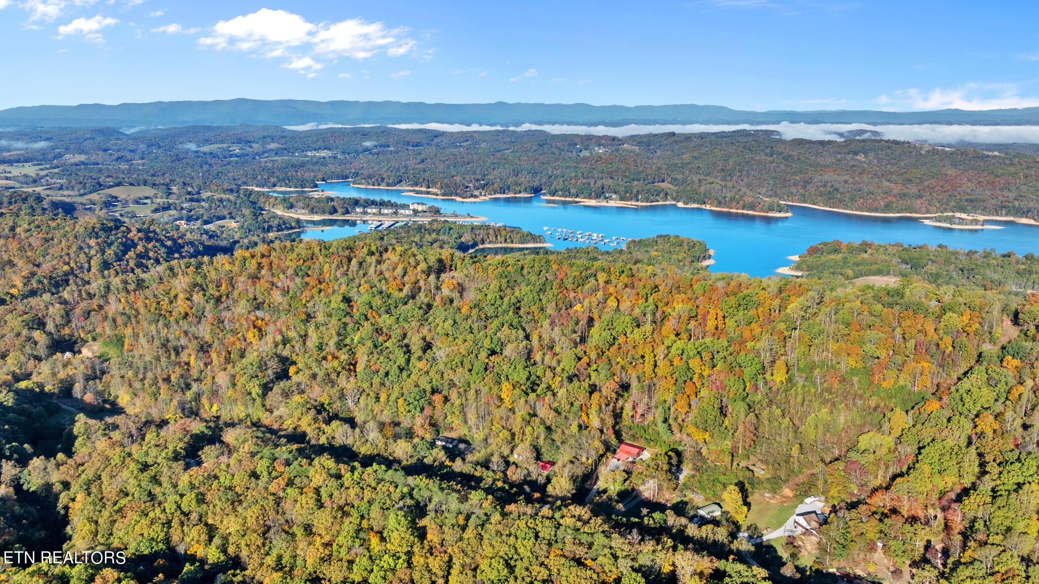 Norris Lake Real Estate - Image# 78