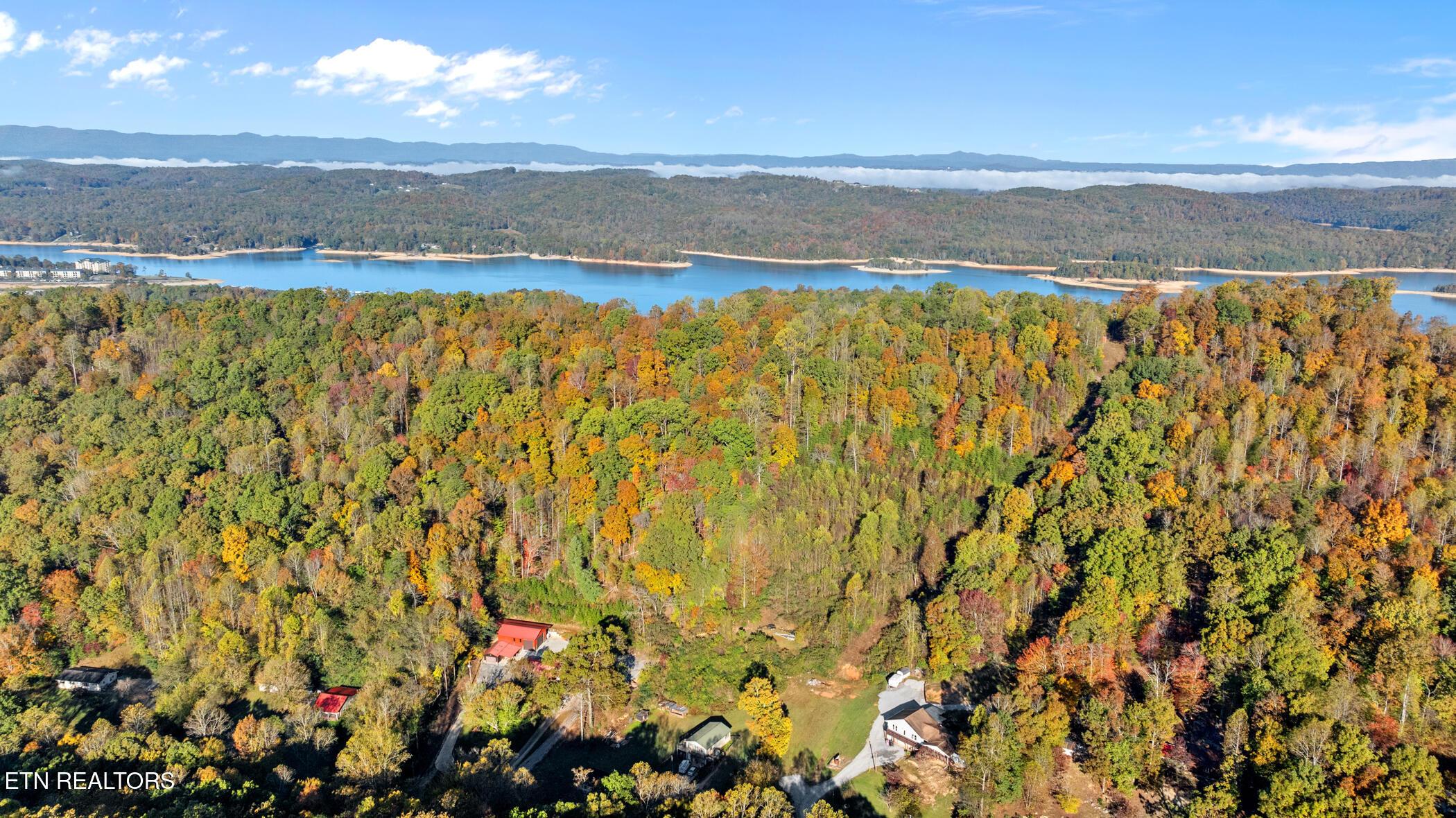 Norris Lake Real Estate - Image# 81