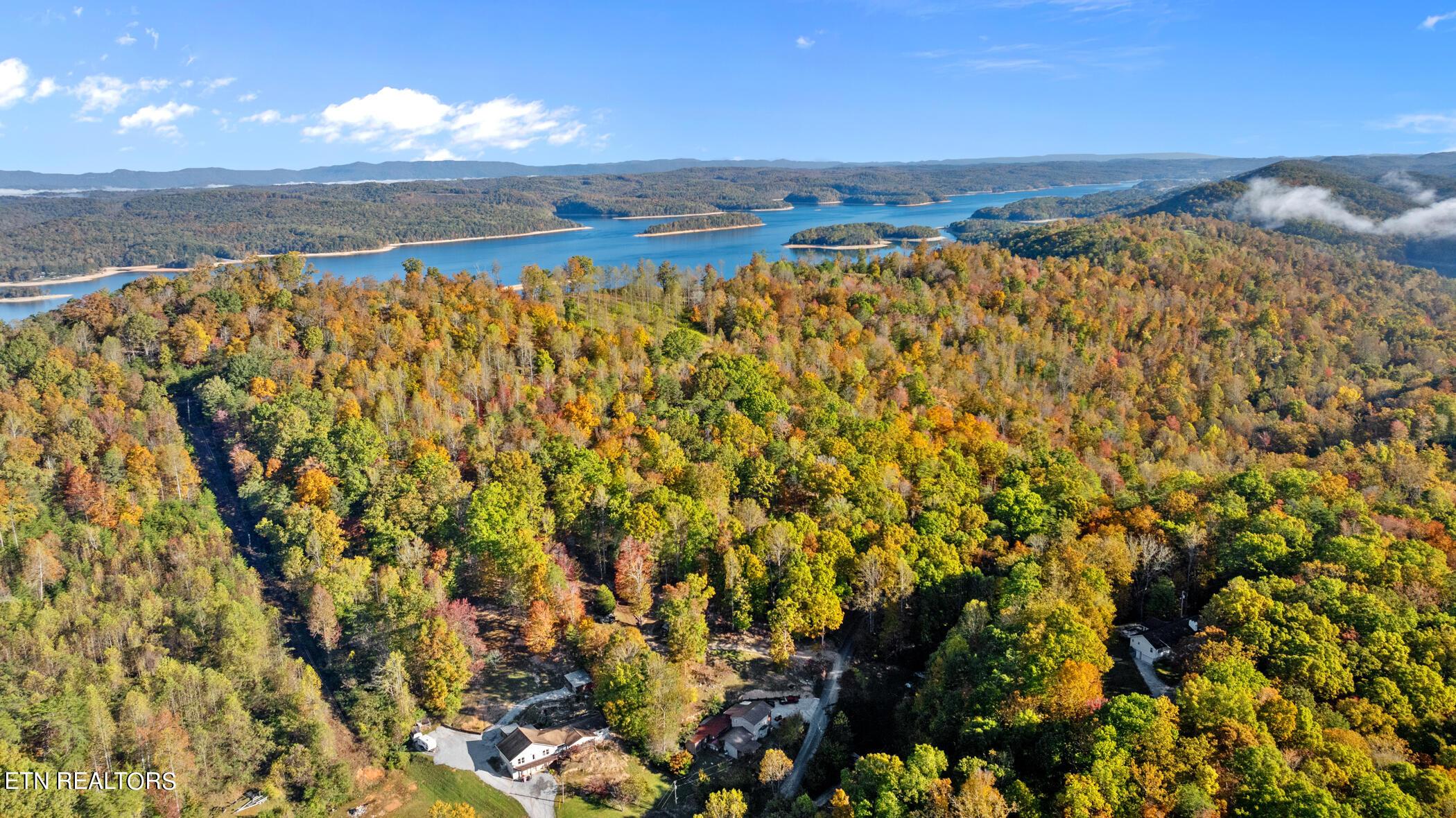 Norris Lake Real Estate - Image# 84