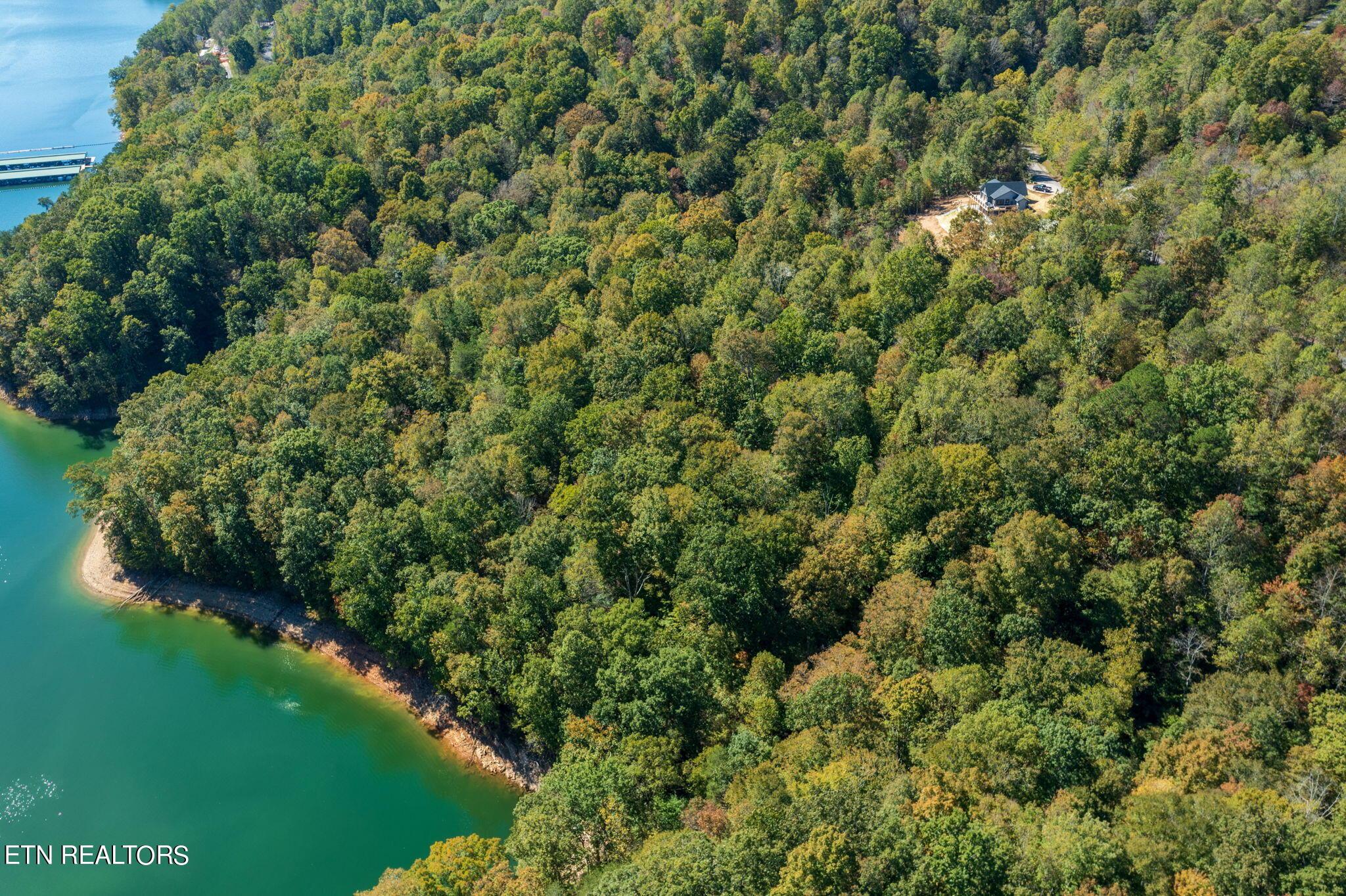 Norris Lake Real Estate - Image# 14