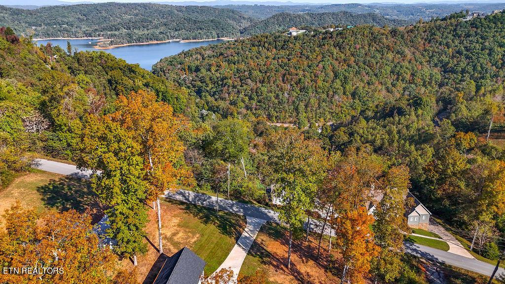 Norris Lake Real Estate - Image# 60