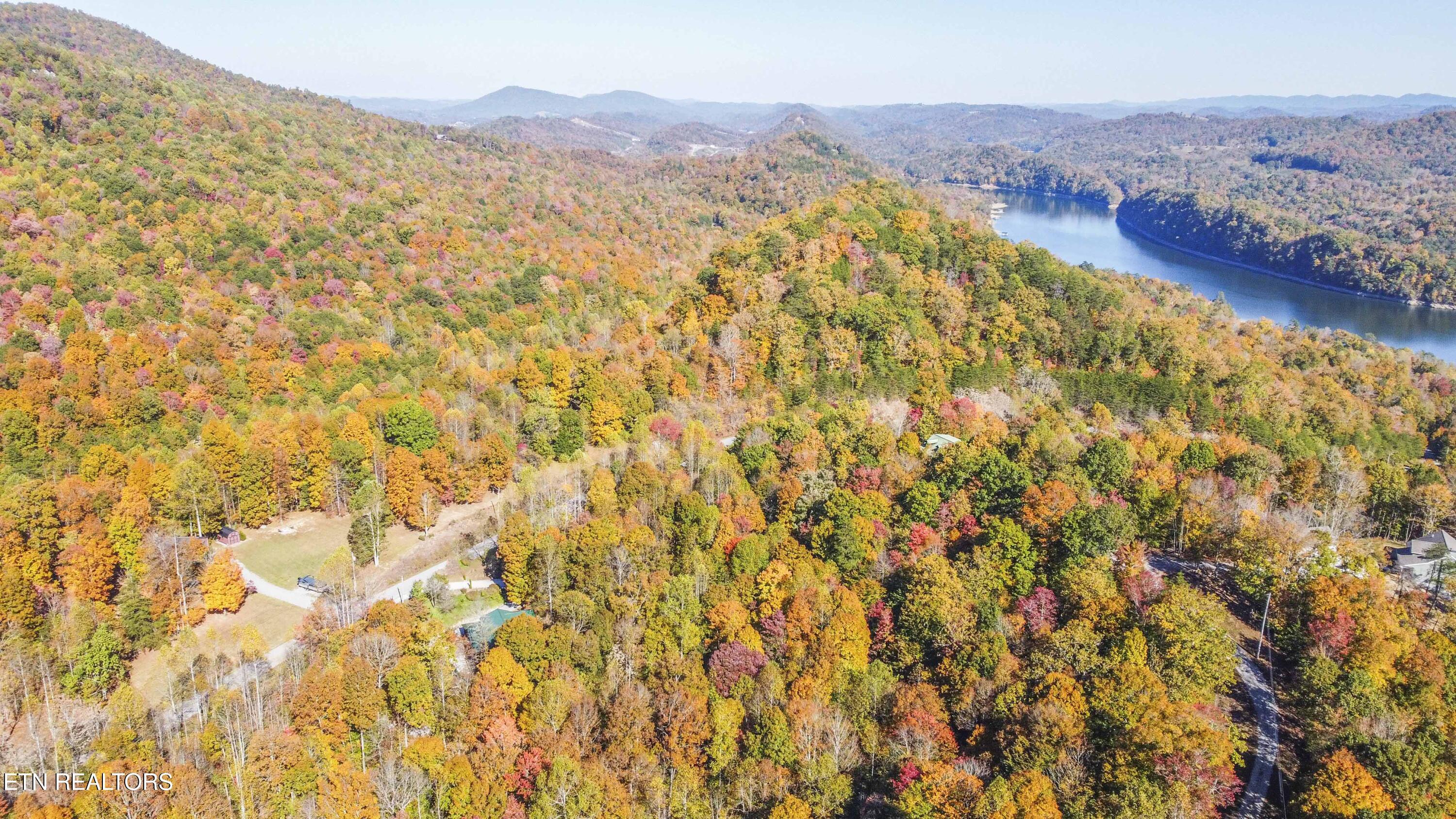 Norris Lake Real Estate - Image# 6