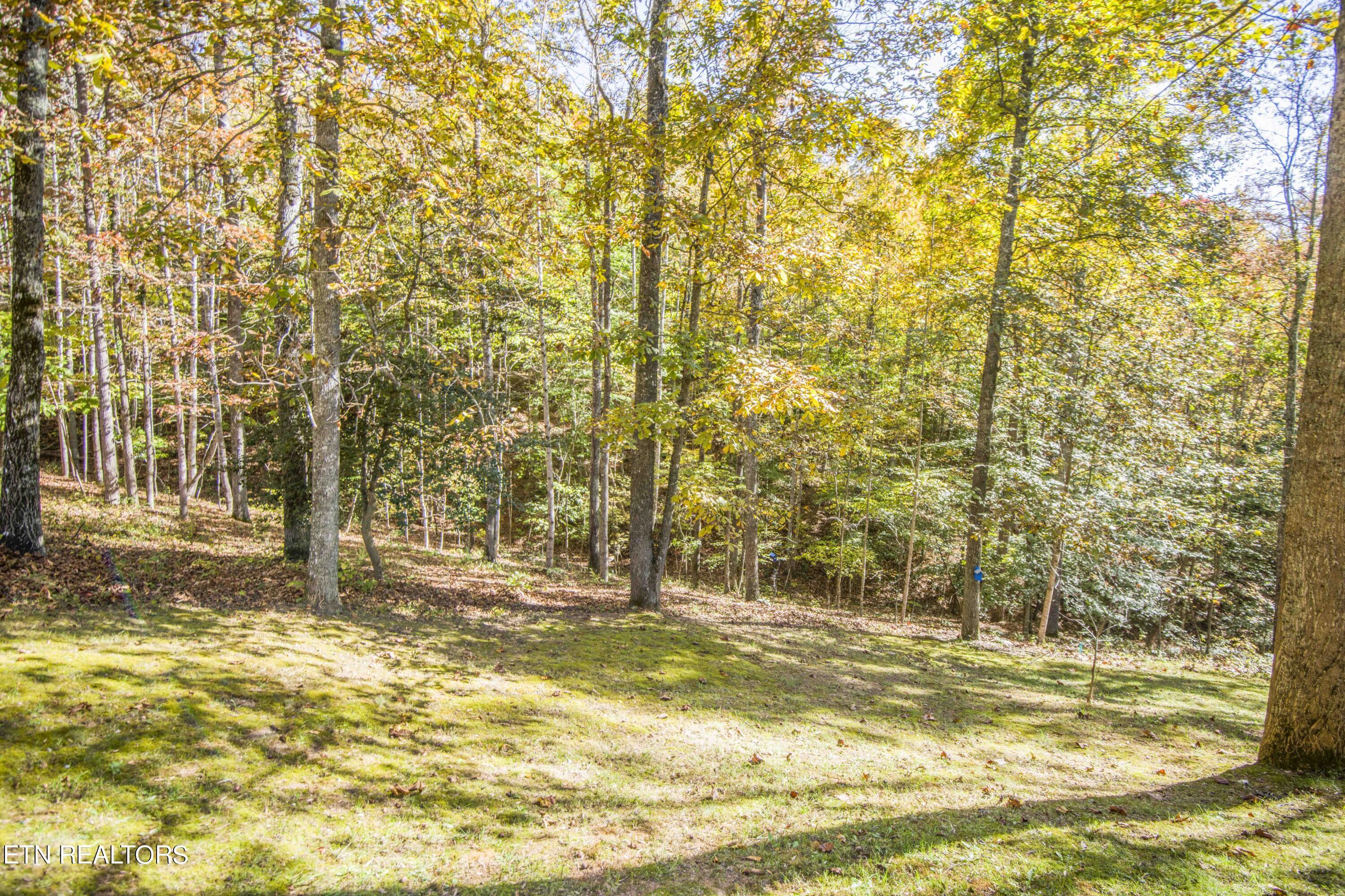 Norris Lake Real Estate - Image# 83