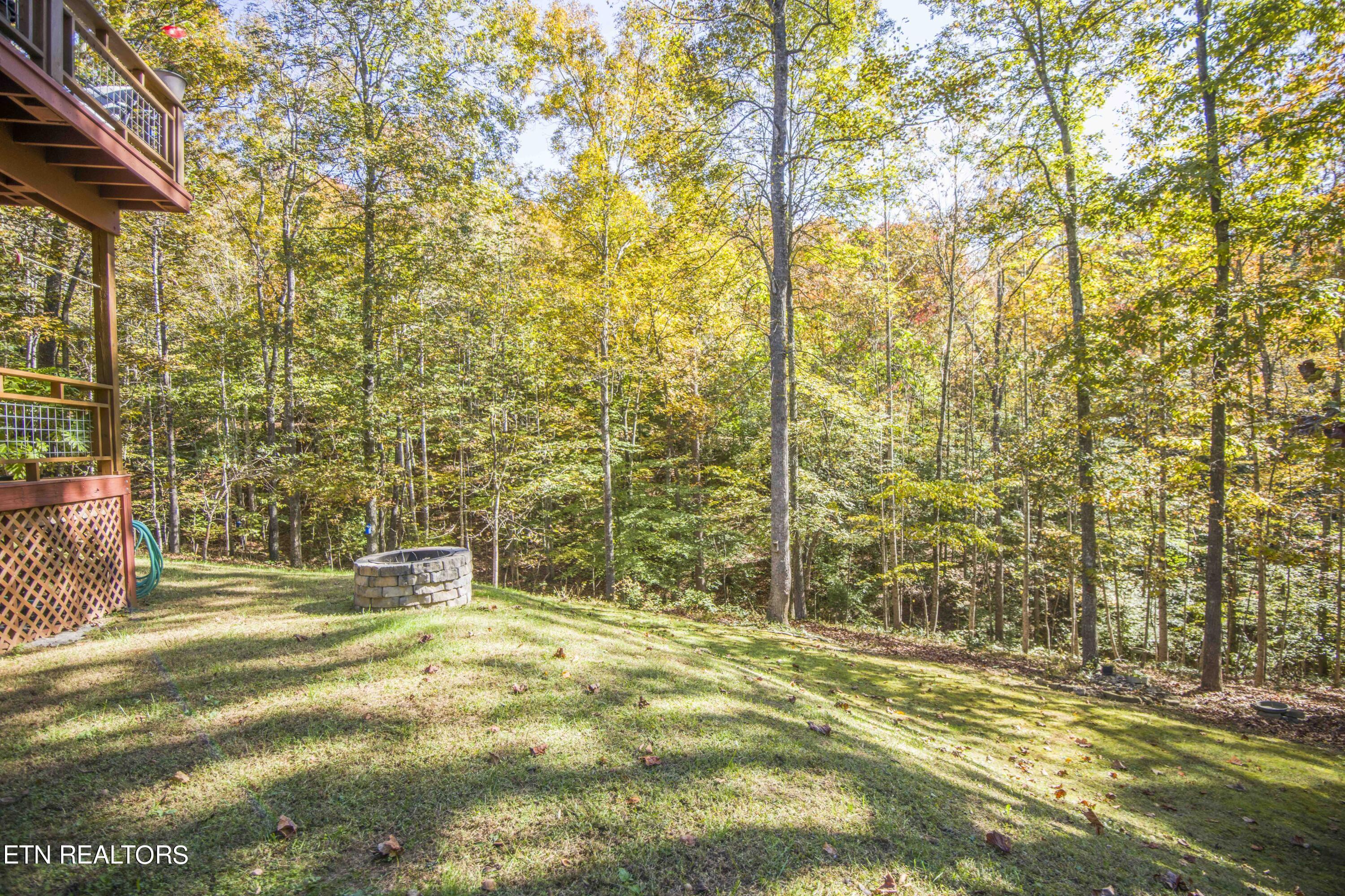 Norris Lake Real Estate - Image# 86