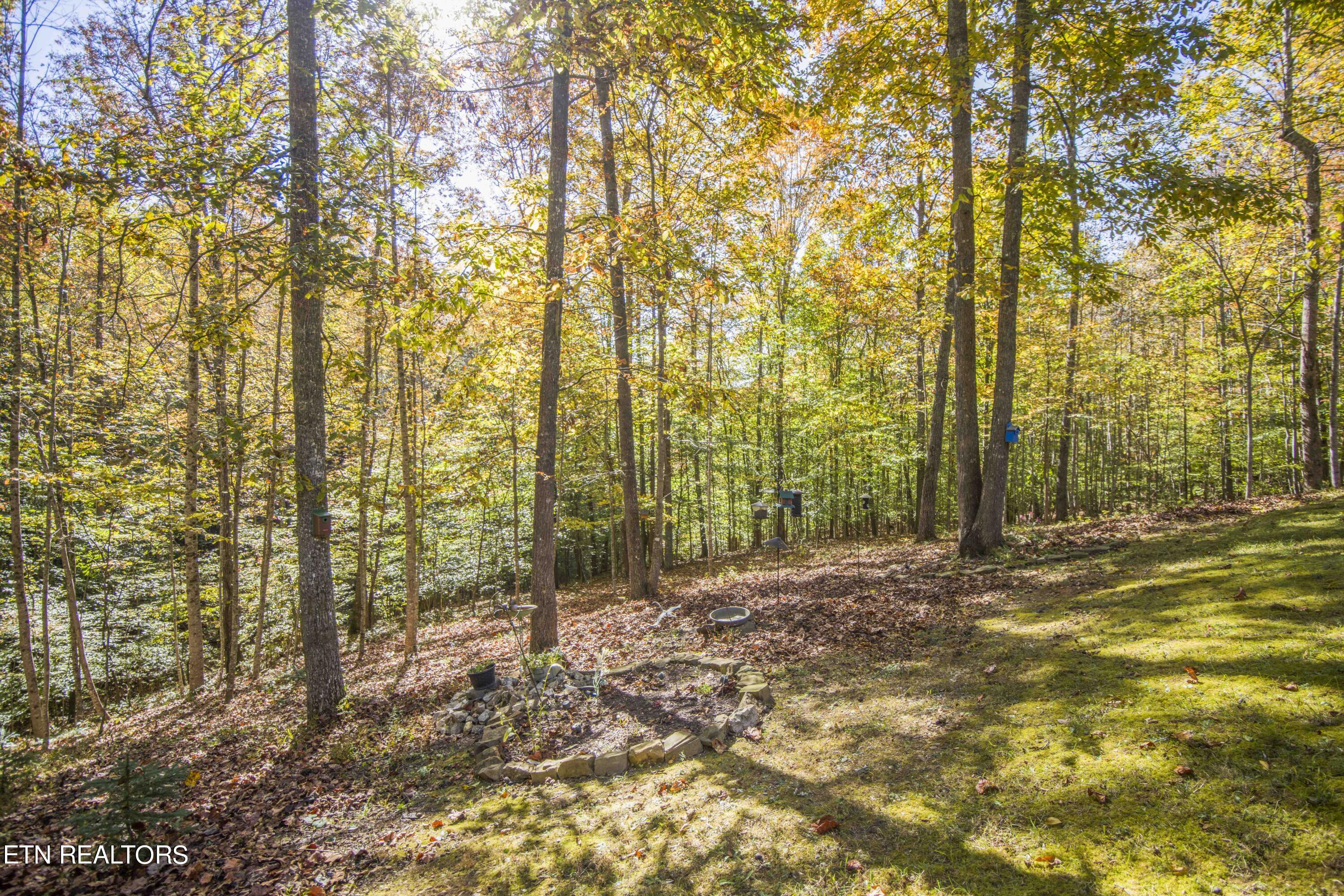 Norris Lake Real Estate - Image# 89