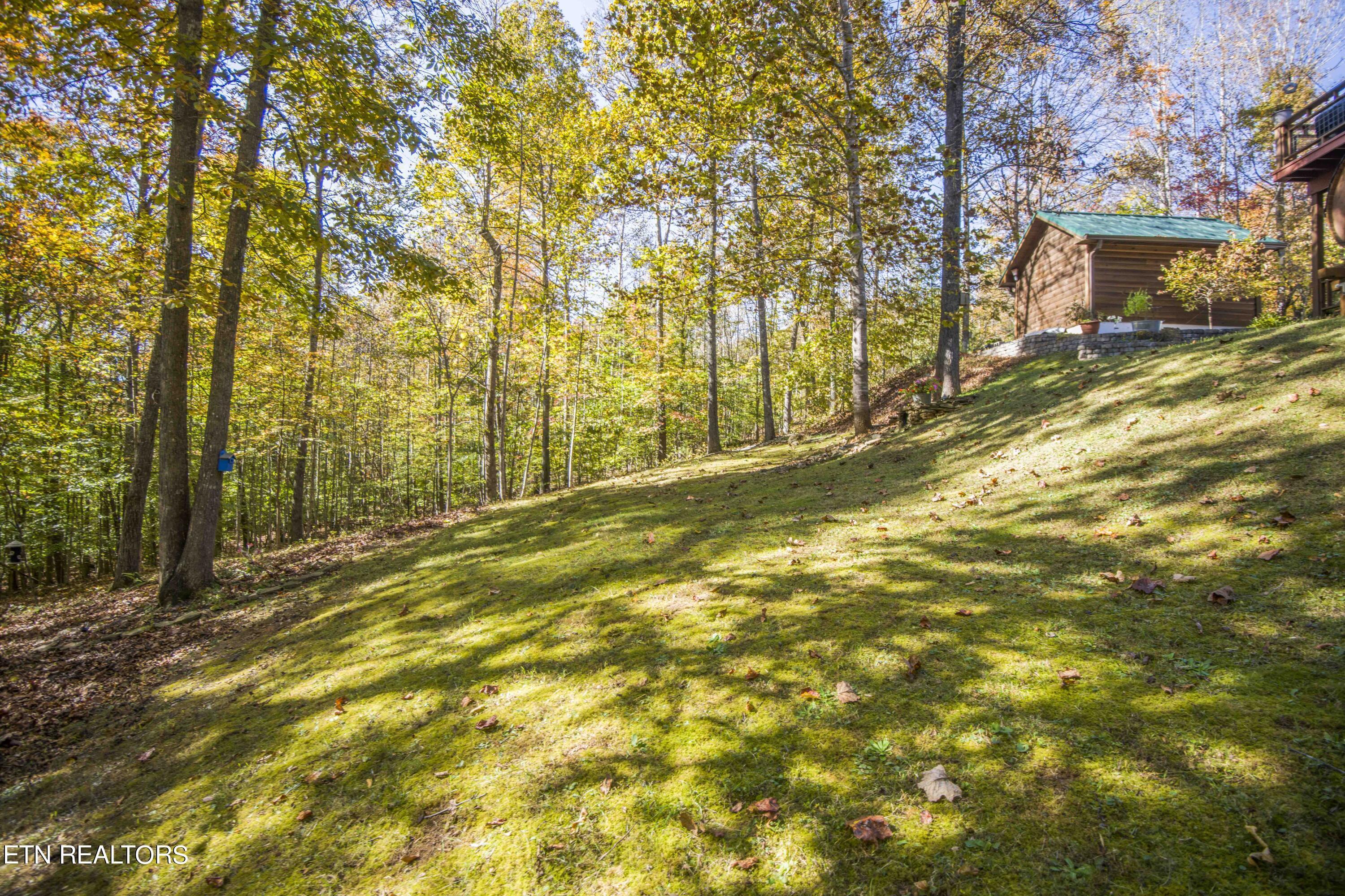 Norris Lake Real Estate - Image# 92