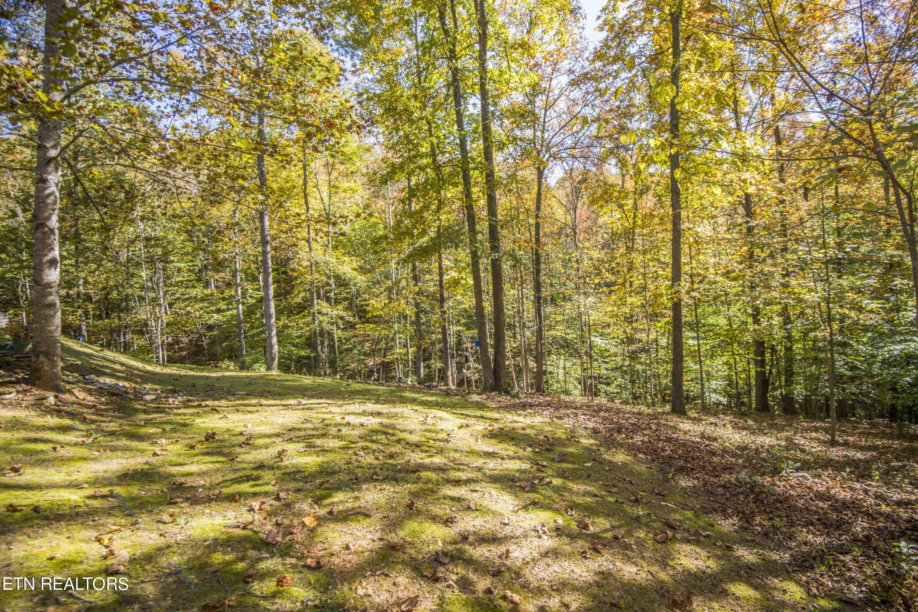 Norris Lake Real Estate - Image# 98