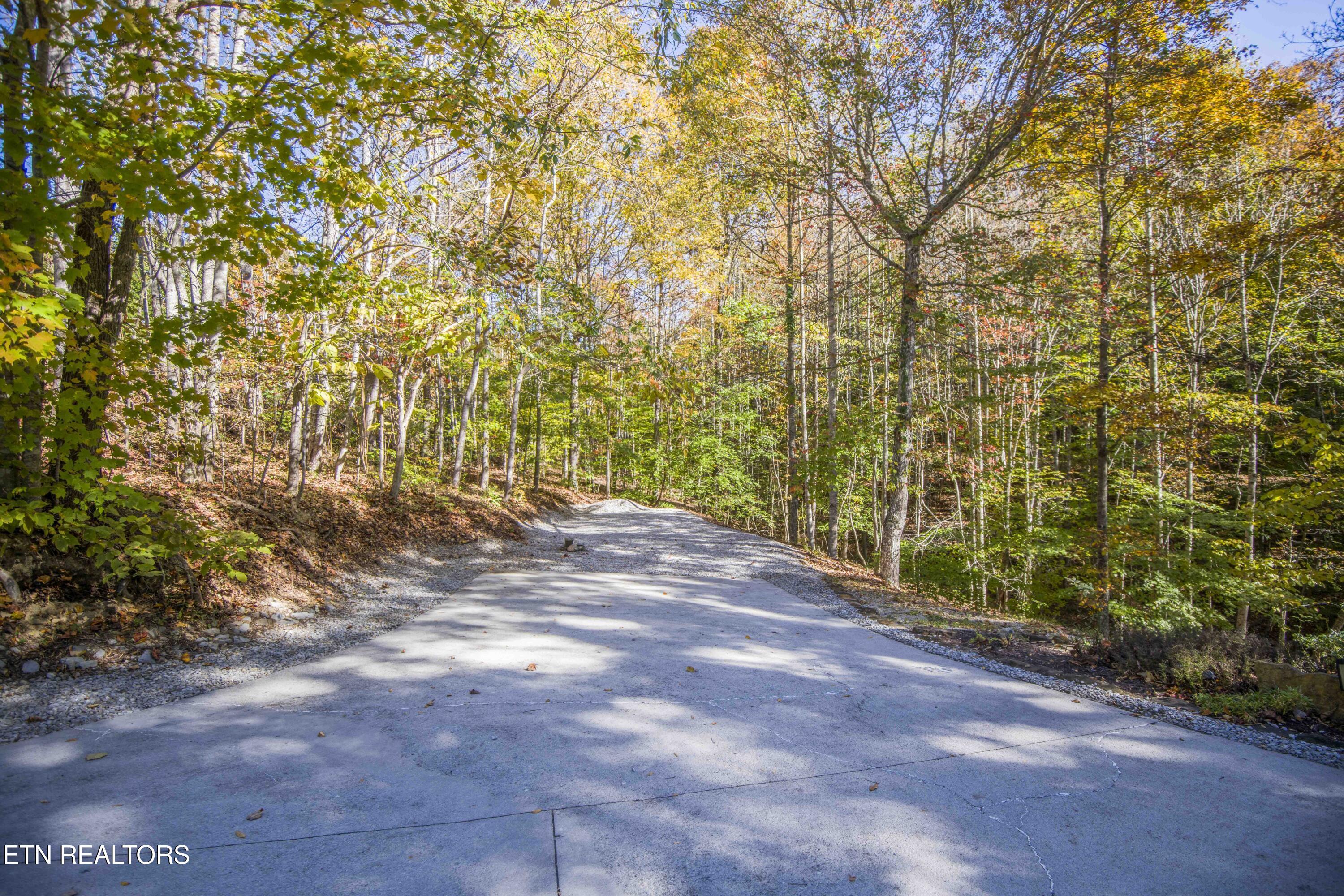 Norris Lake Real Estate - Image# 103