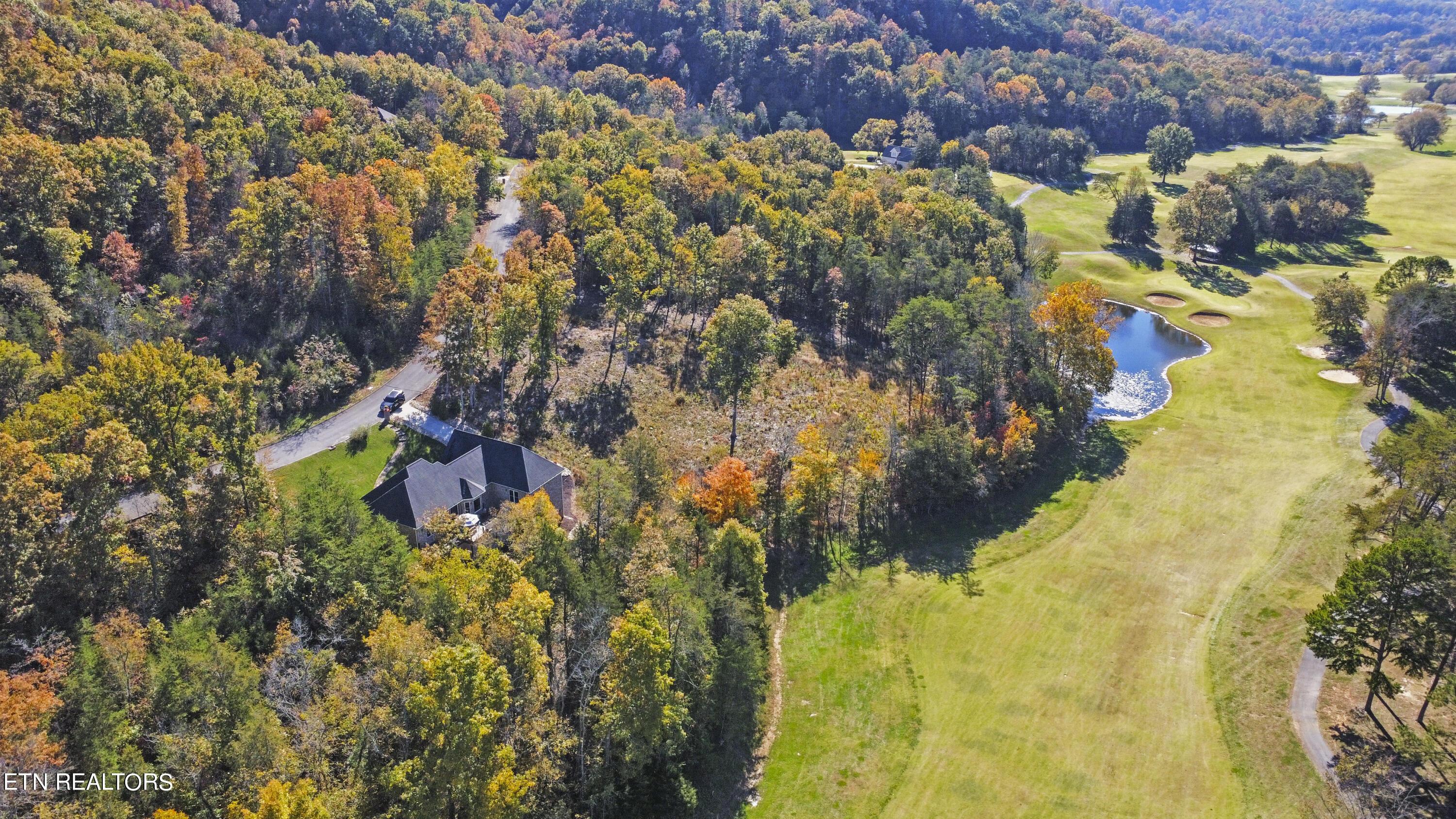 Norris Lake Real Estate - Image# 61