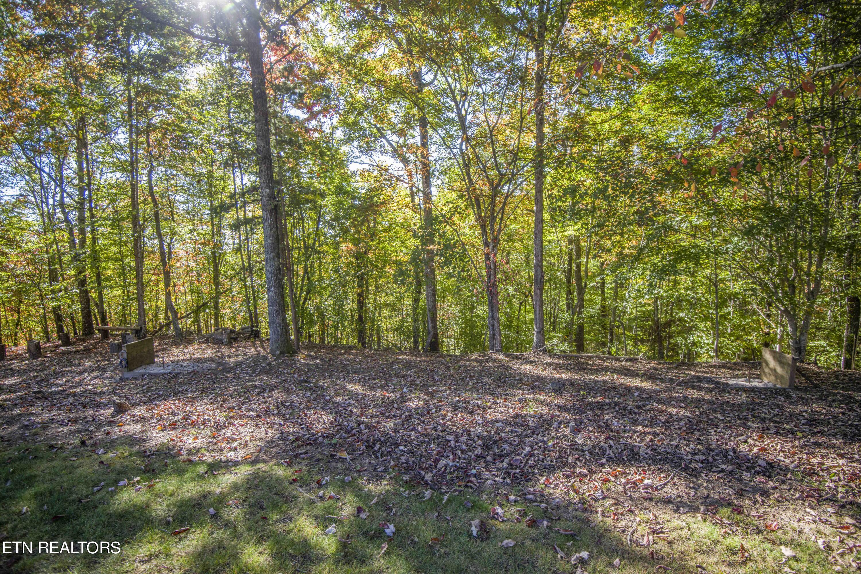 Norris Lake Real Estate - Image# 104