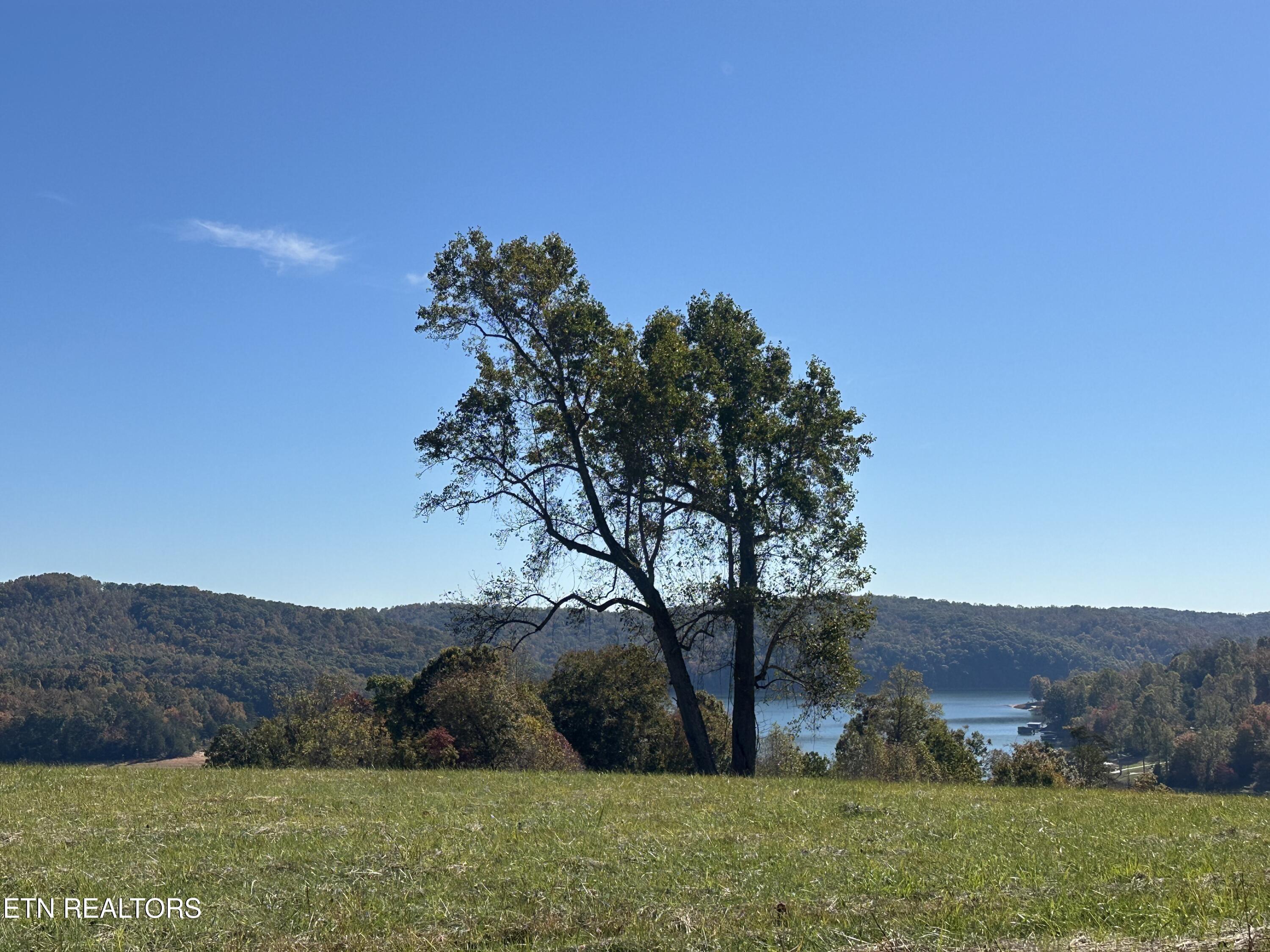 Norris Lake Real Estate - Image# 1