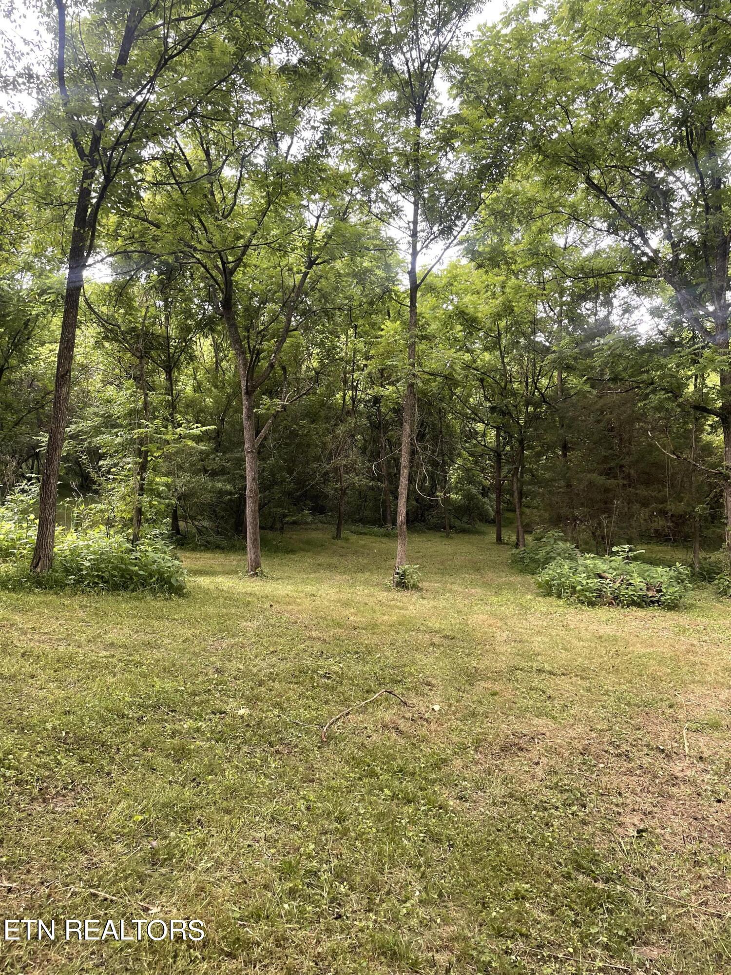 Norris Lake Real Estate - Image# 20