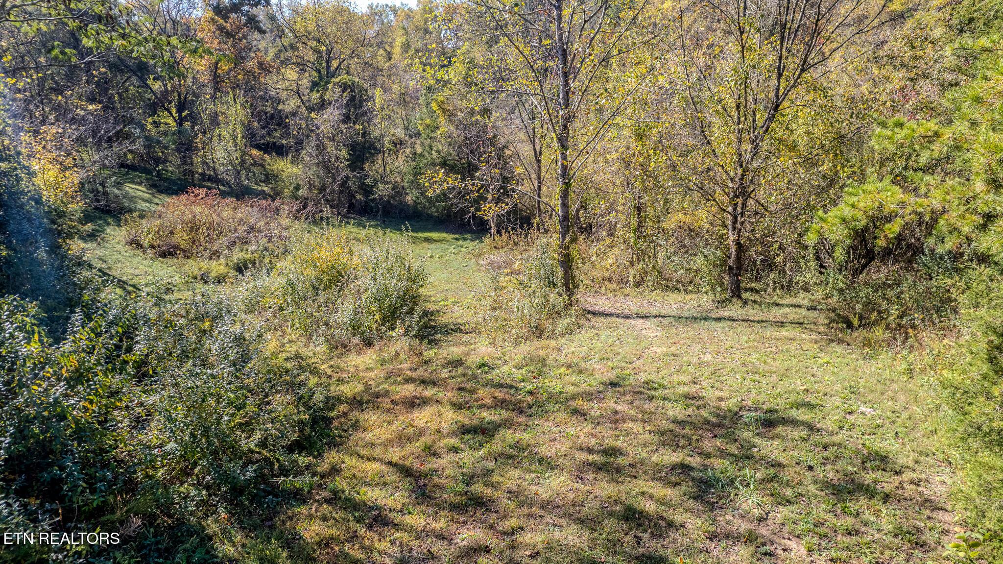 Norris Lake Real Estate - Image# 21