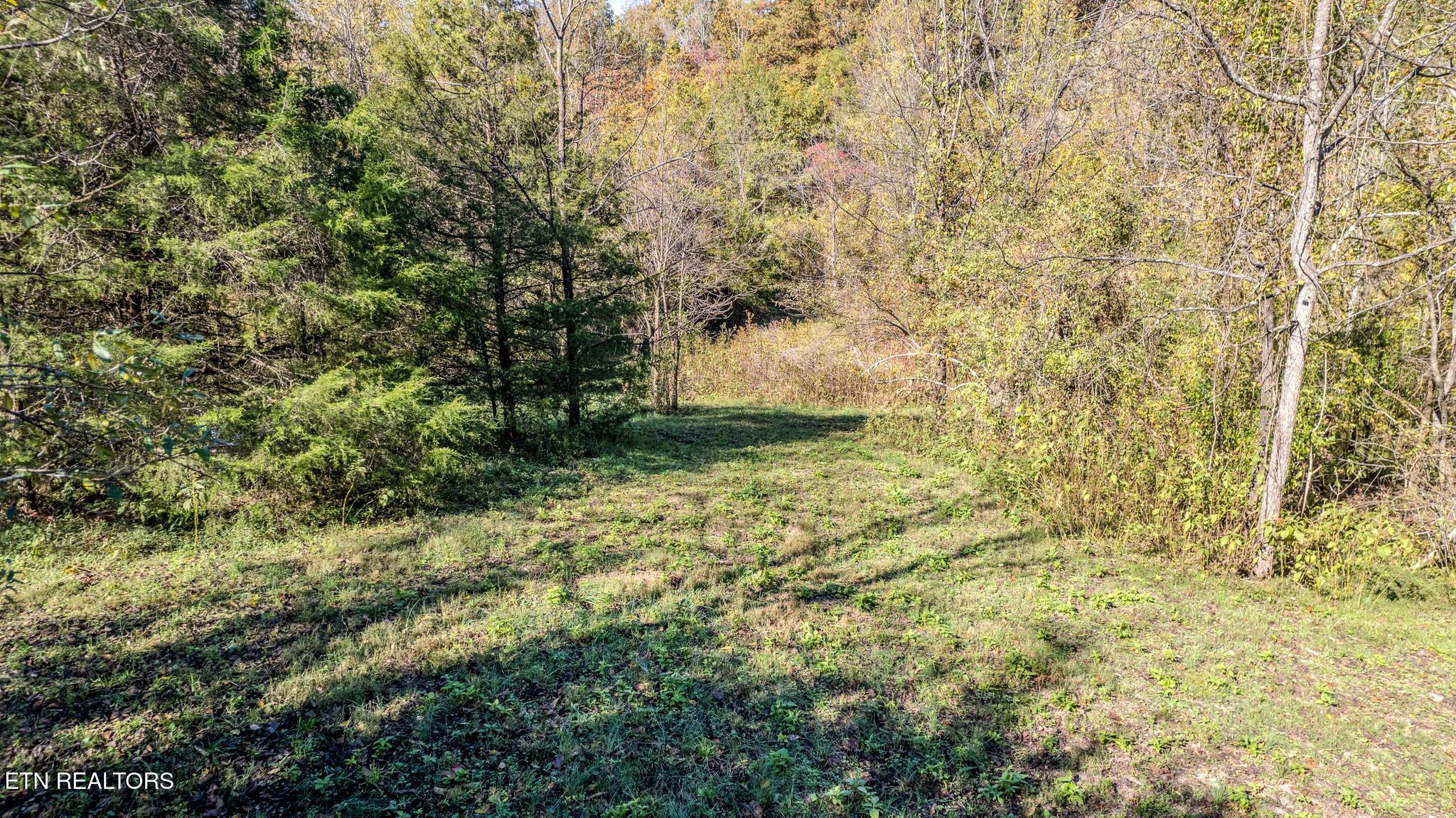 Norris Lake Real Estate - Image# 22