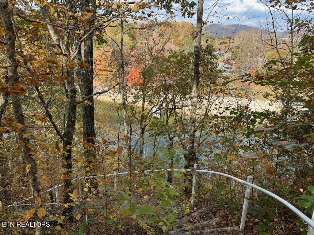 Norris Lake Real Estate - Image# 8