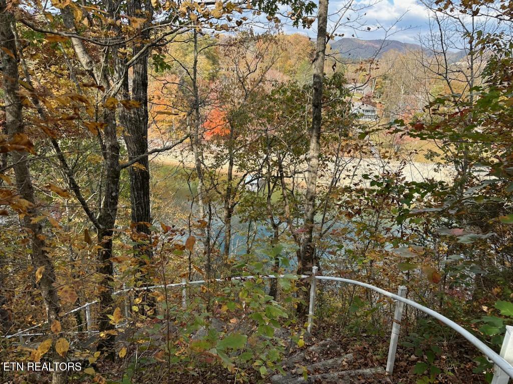 Norris Lake Real Estate - Image# 16