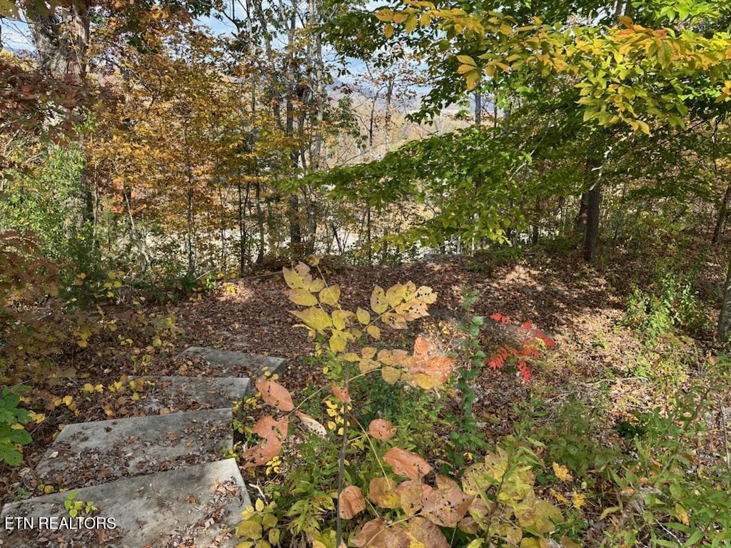 Norris Lake Real Estate - Image# 14