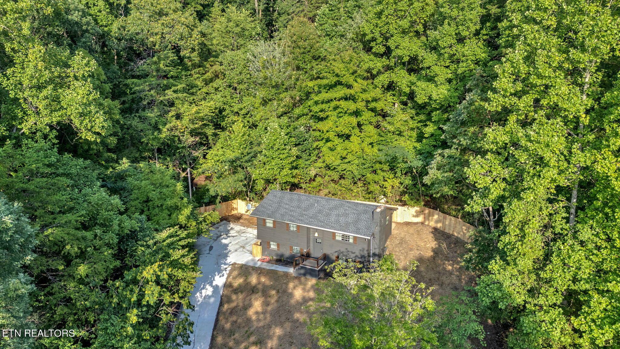 Norris Lake Real Estate - Image# 2