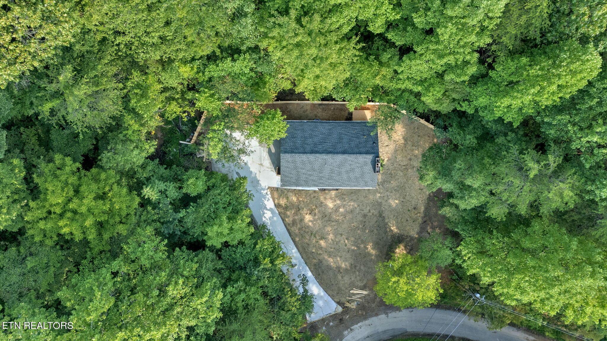 Norris Lake Real Estate - Image# 3