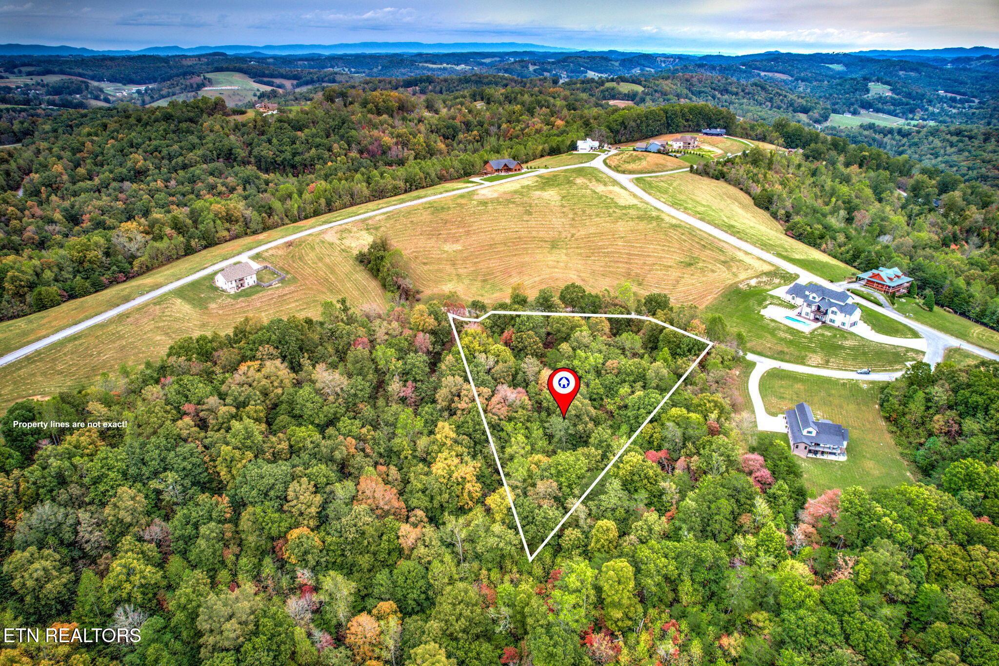 Norris Lake Real Estate - Image# 2