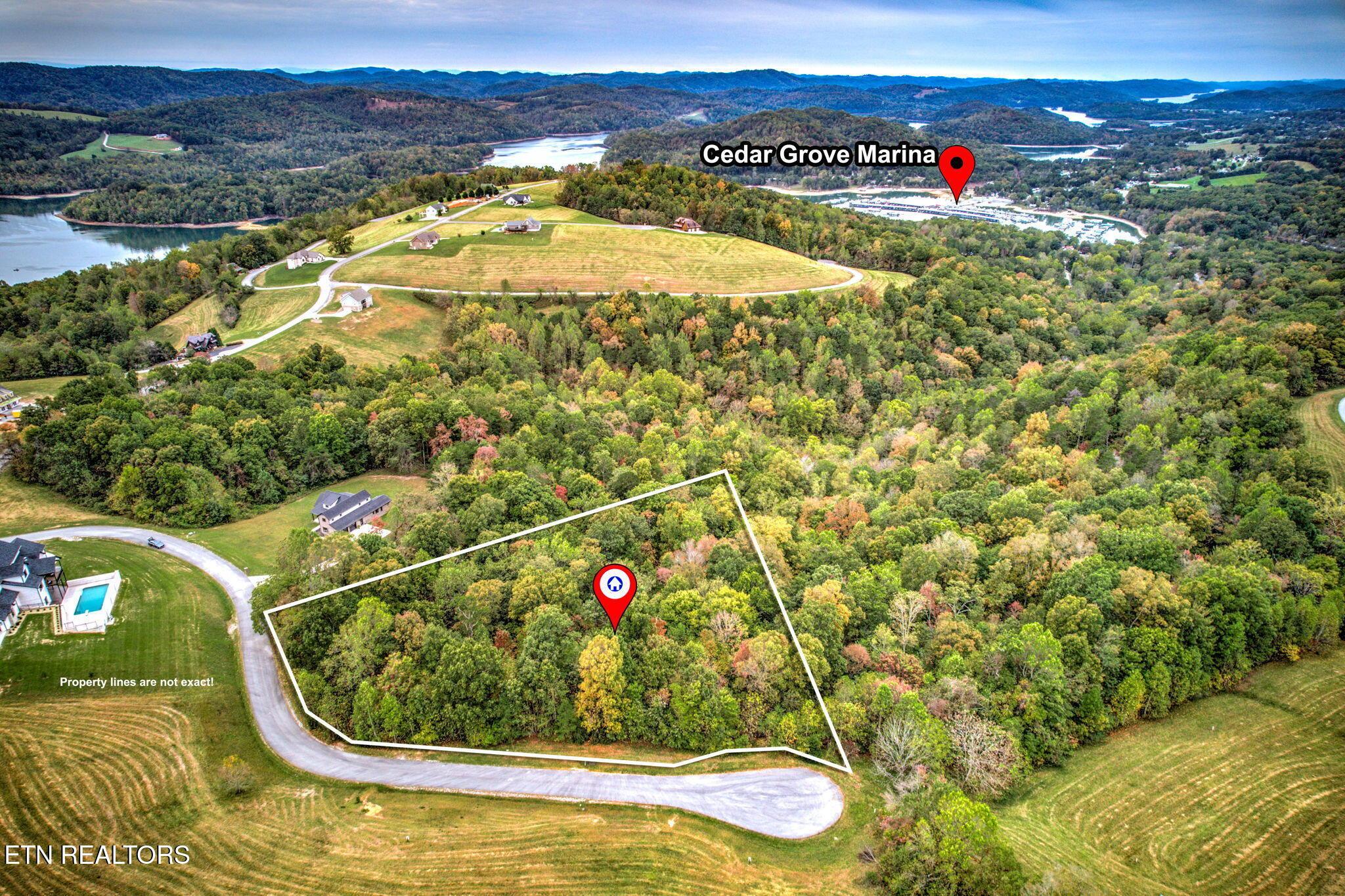 Norris Lake Real Estate - Image# 9