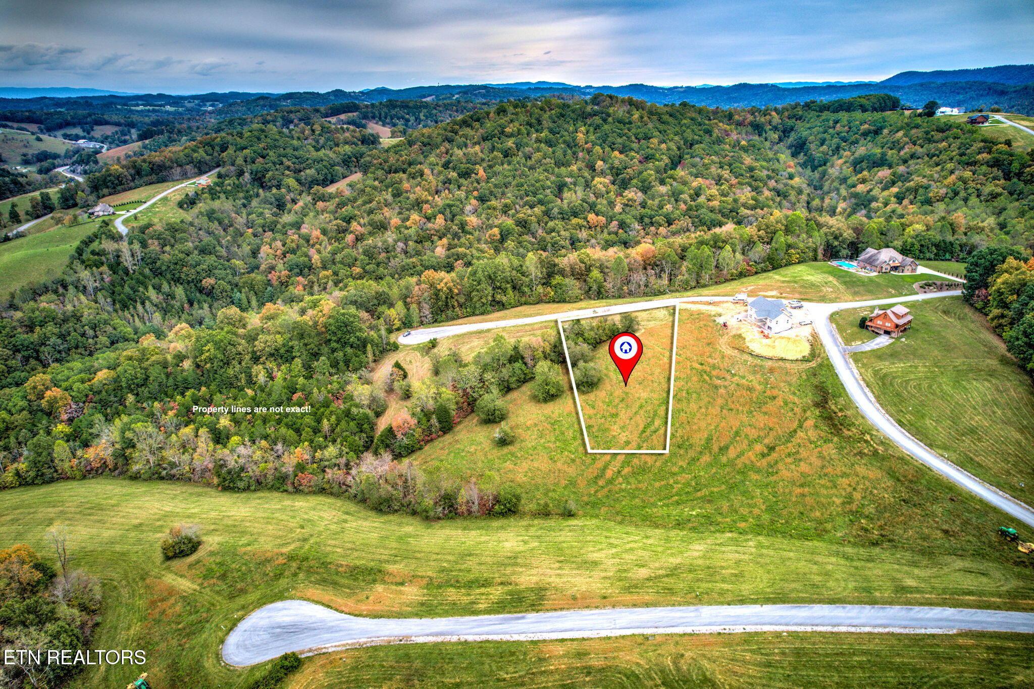 Norris Lake Real Estate - Image# 8