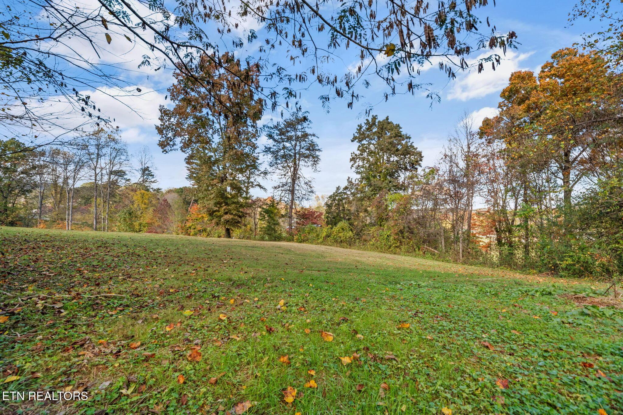 Norris Lake Real Estate - Image# 22