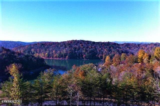 Norris Lake Real Estate - Image# 2