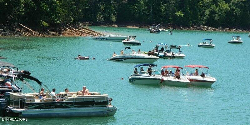 Norris Lake Real Estate - Image# 8