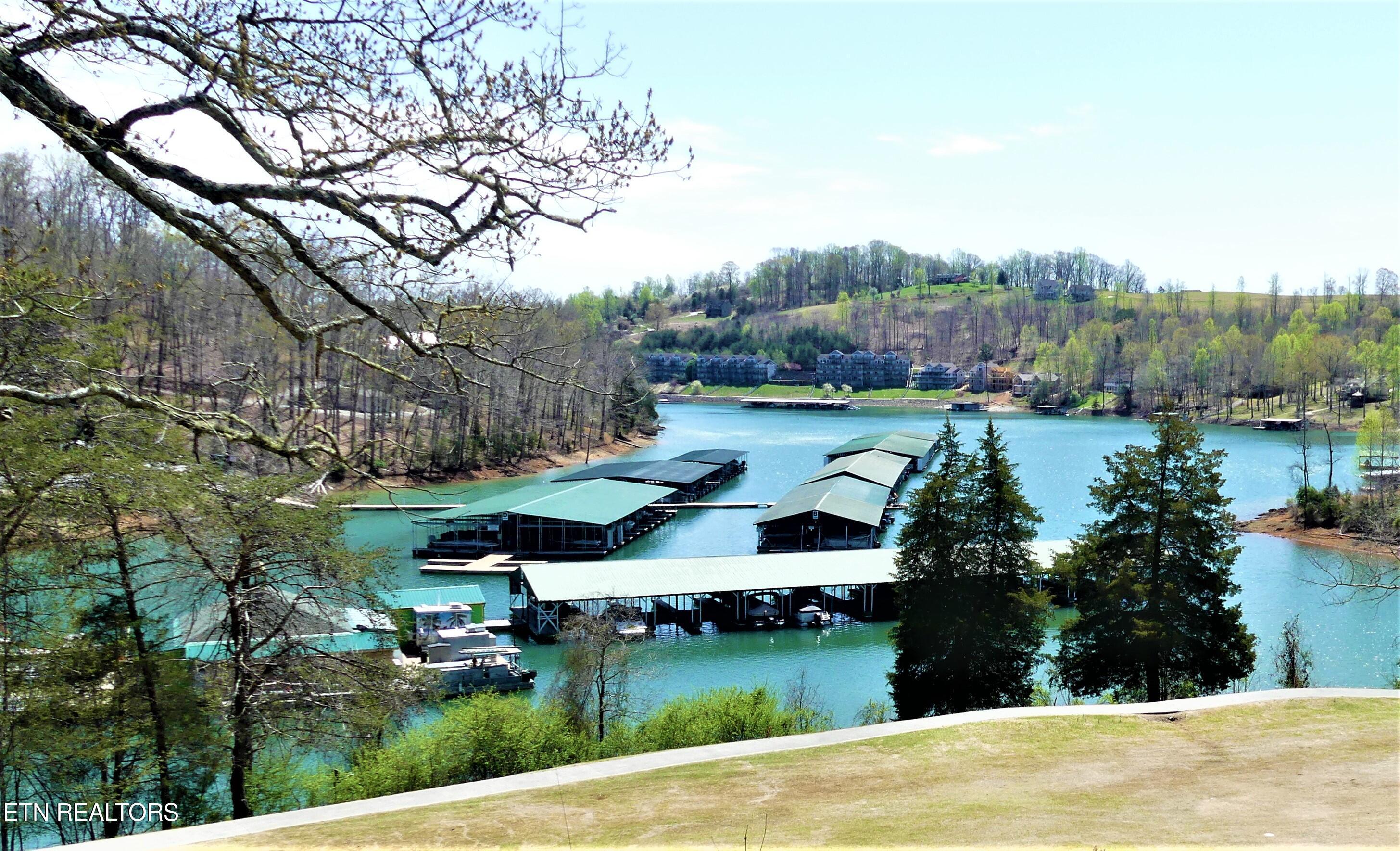 Norris Lake Real Estate - Image# 15