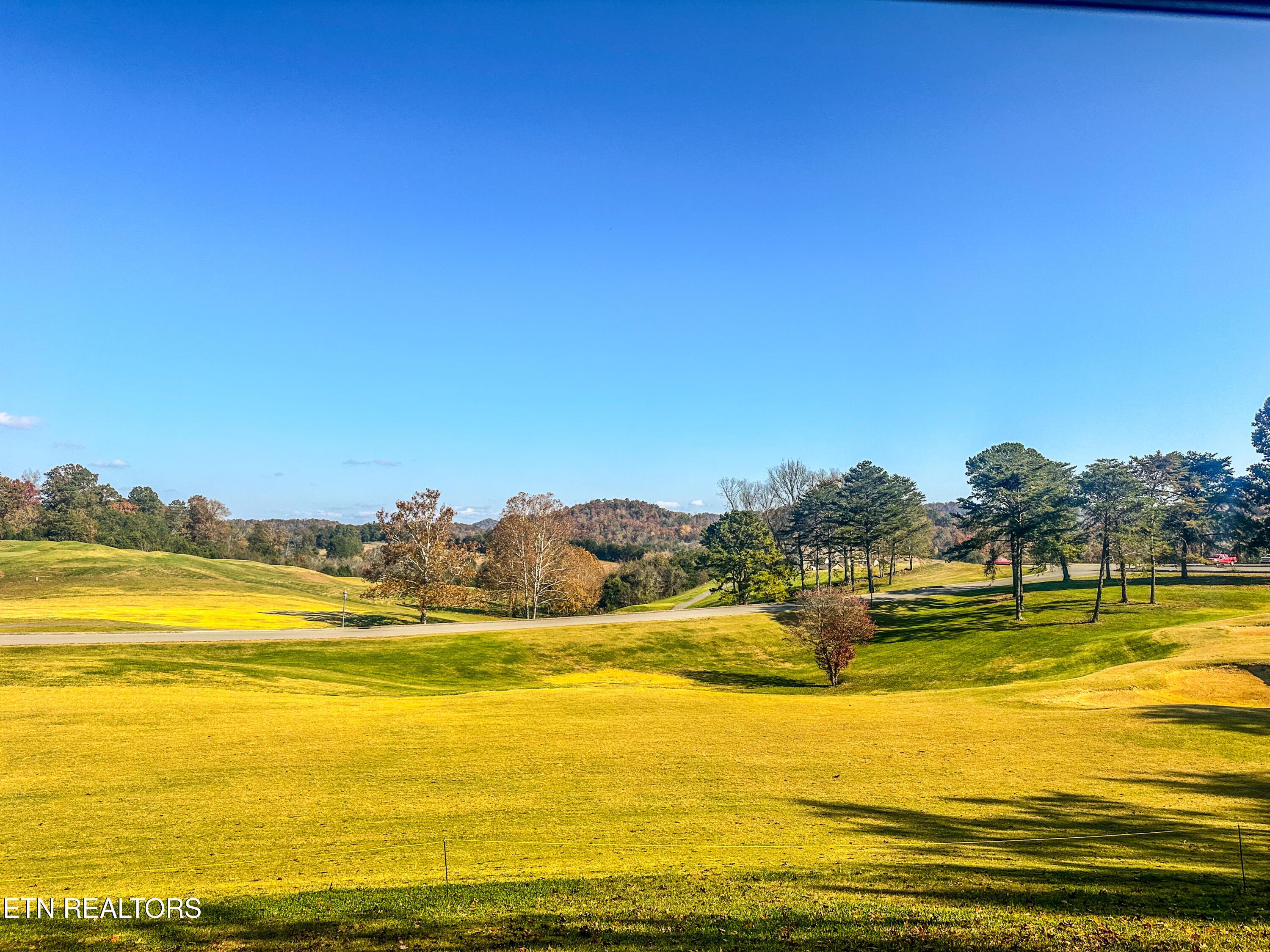 Norris Lake Real Estate - Image# 2