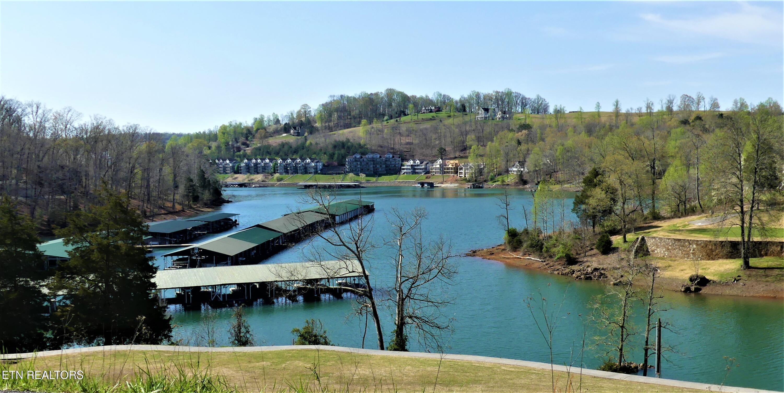 Norris Lake Real Estate - Image# 10