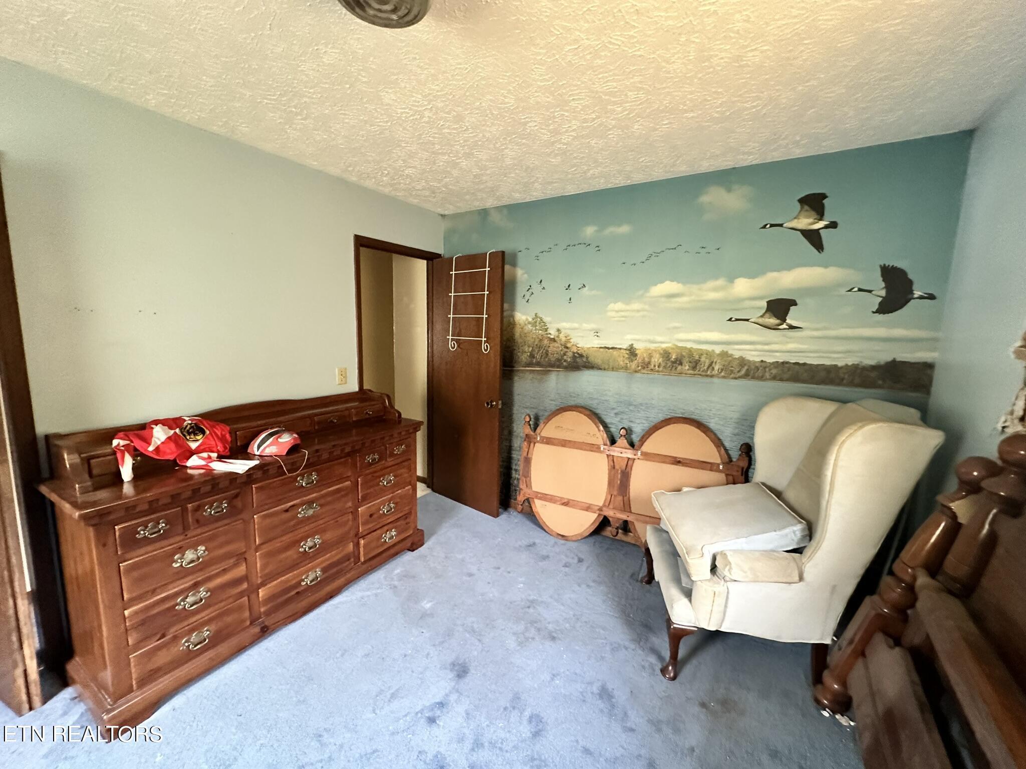 Norris Lake Real Estate - Image# 67