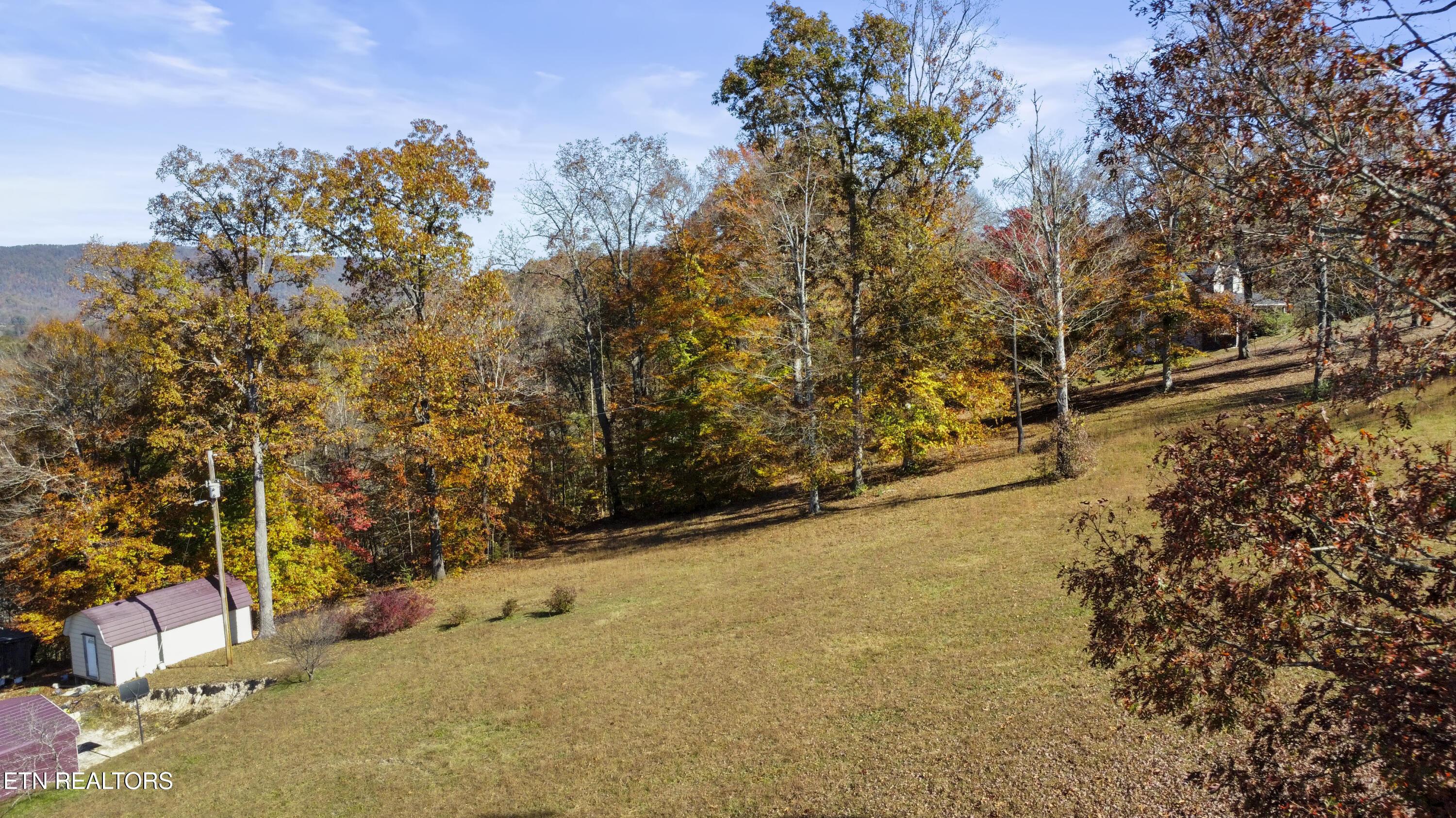 Norris Lake Real Estate - Image# 51