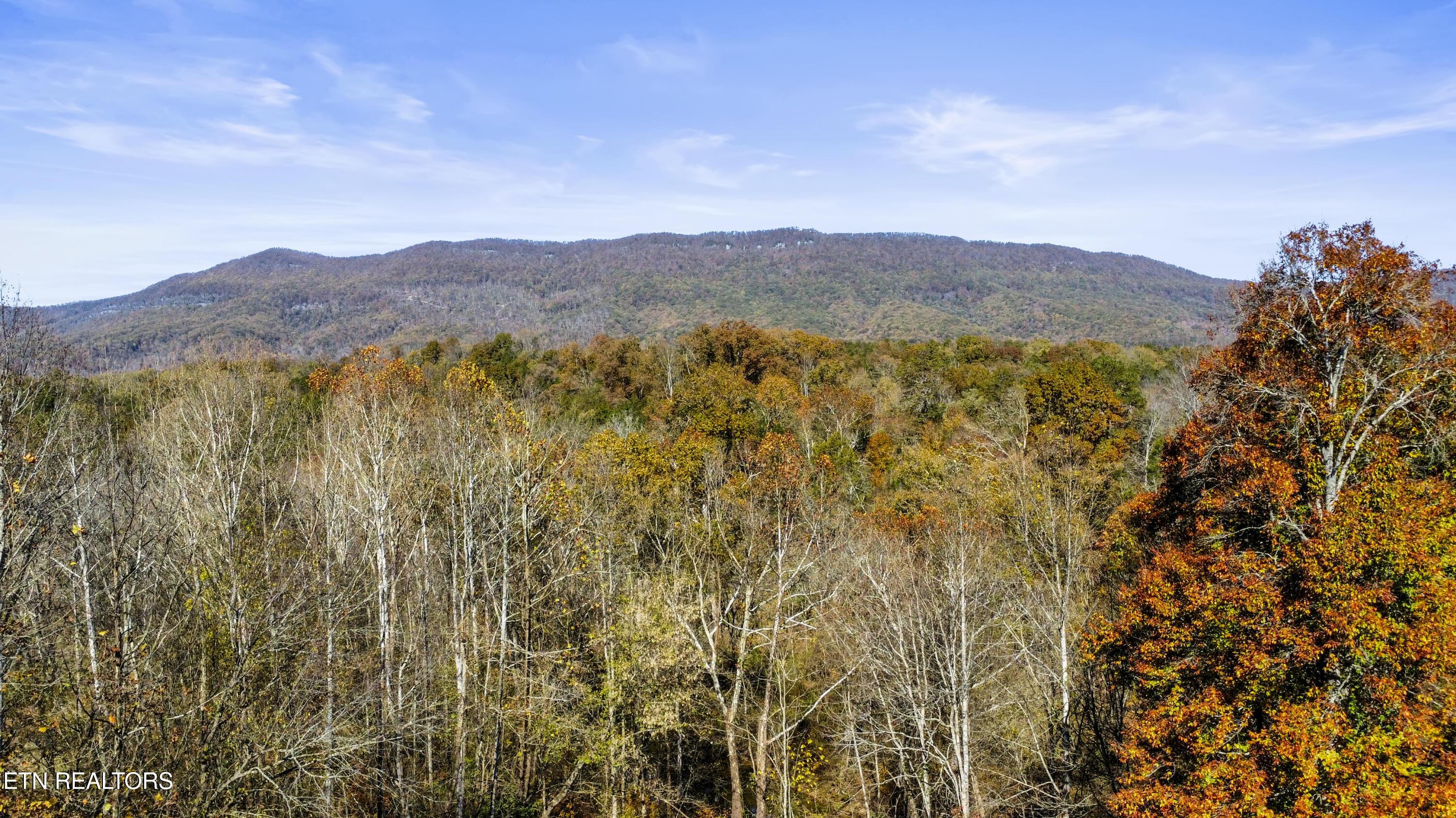 Norris Lake Real Estate - Image# 63