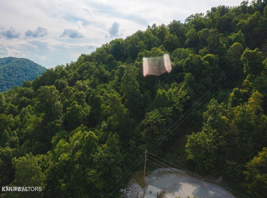 Norris Lake Real Estate - Image# 2