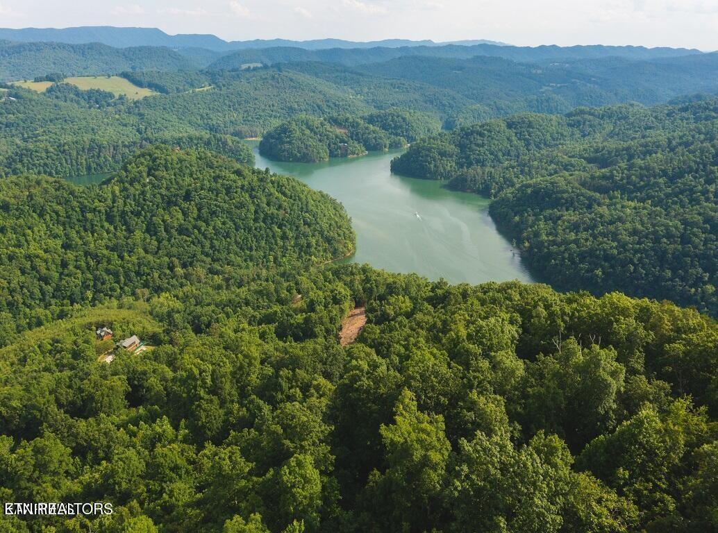 Norris Lake Real Estate - Image# 6