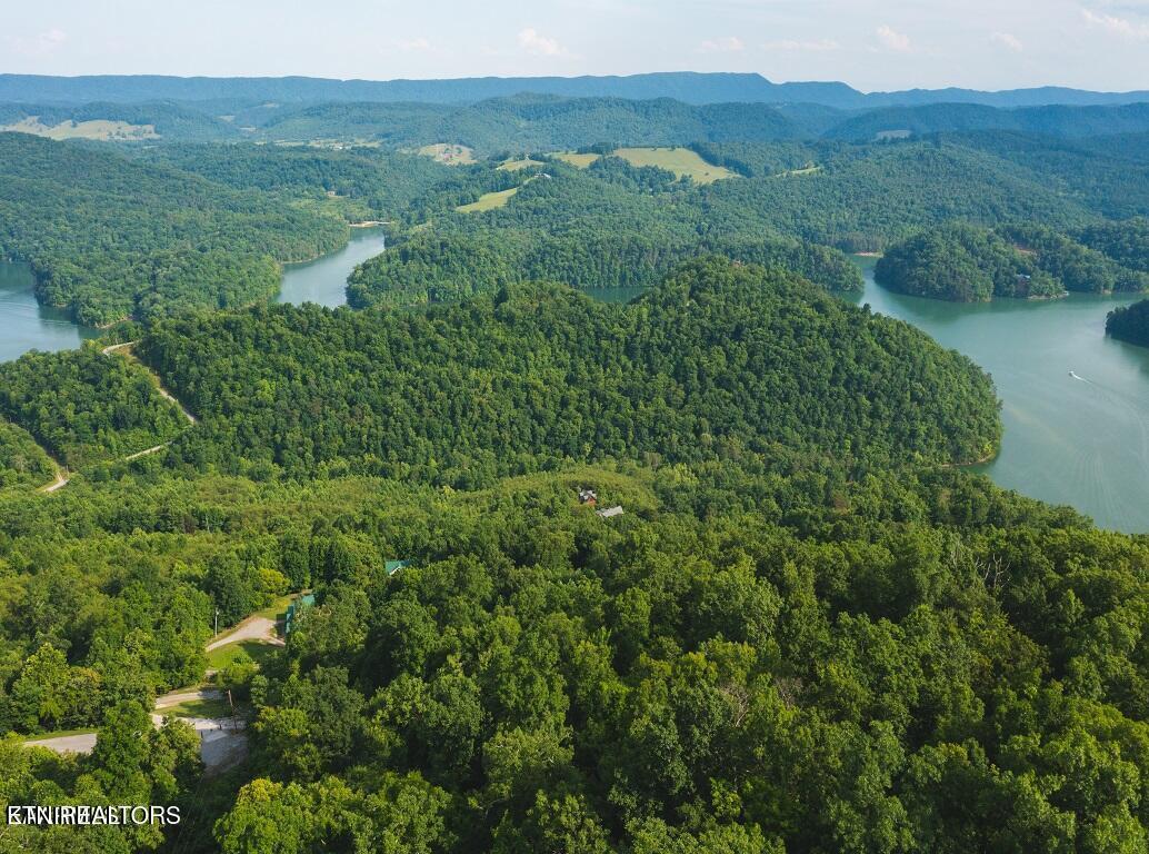 Norris Lake Real Estate - Image# 7